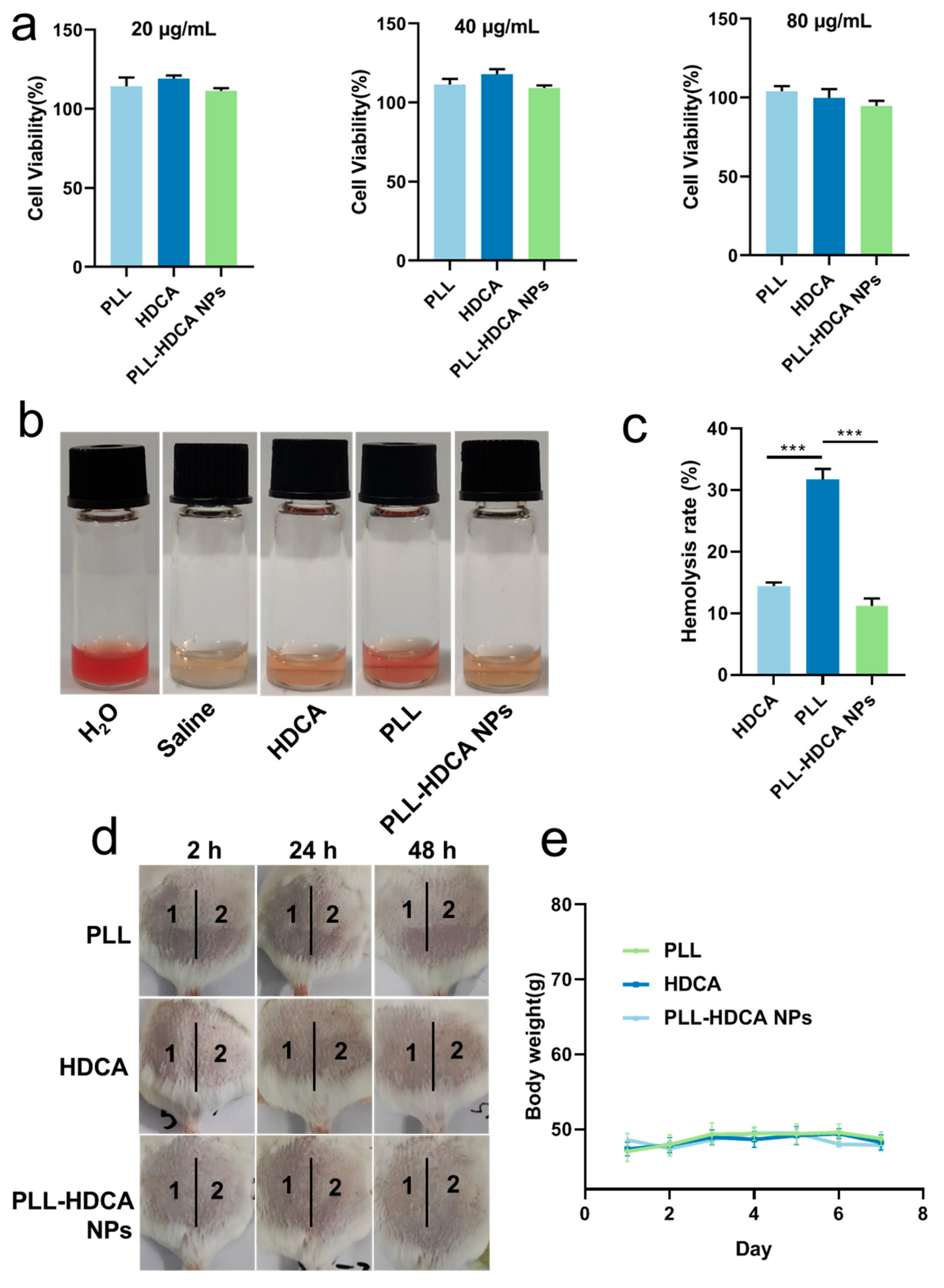 Pharmaceutics 17 00007 g009