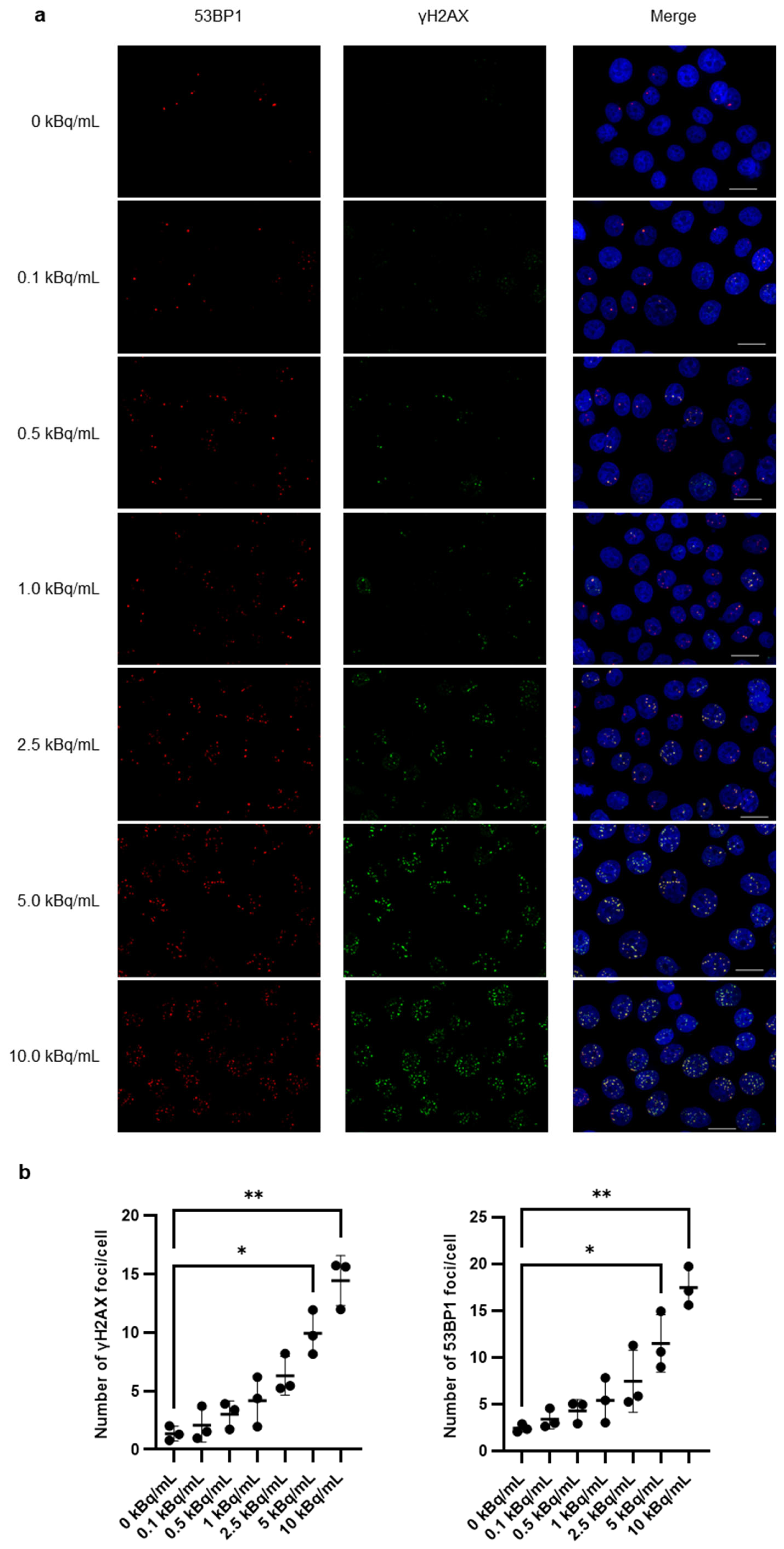Pharmaceutics 17 00009 g002