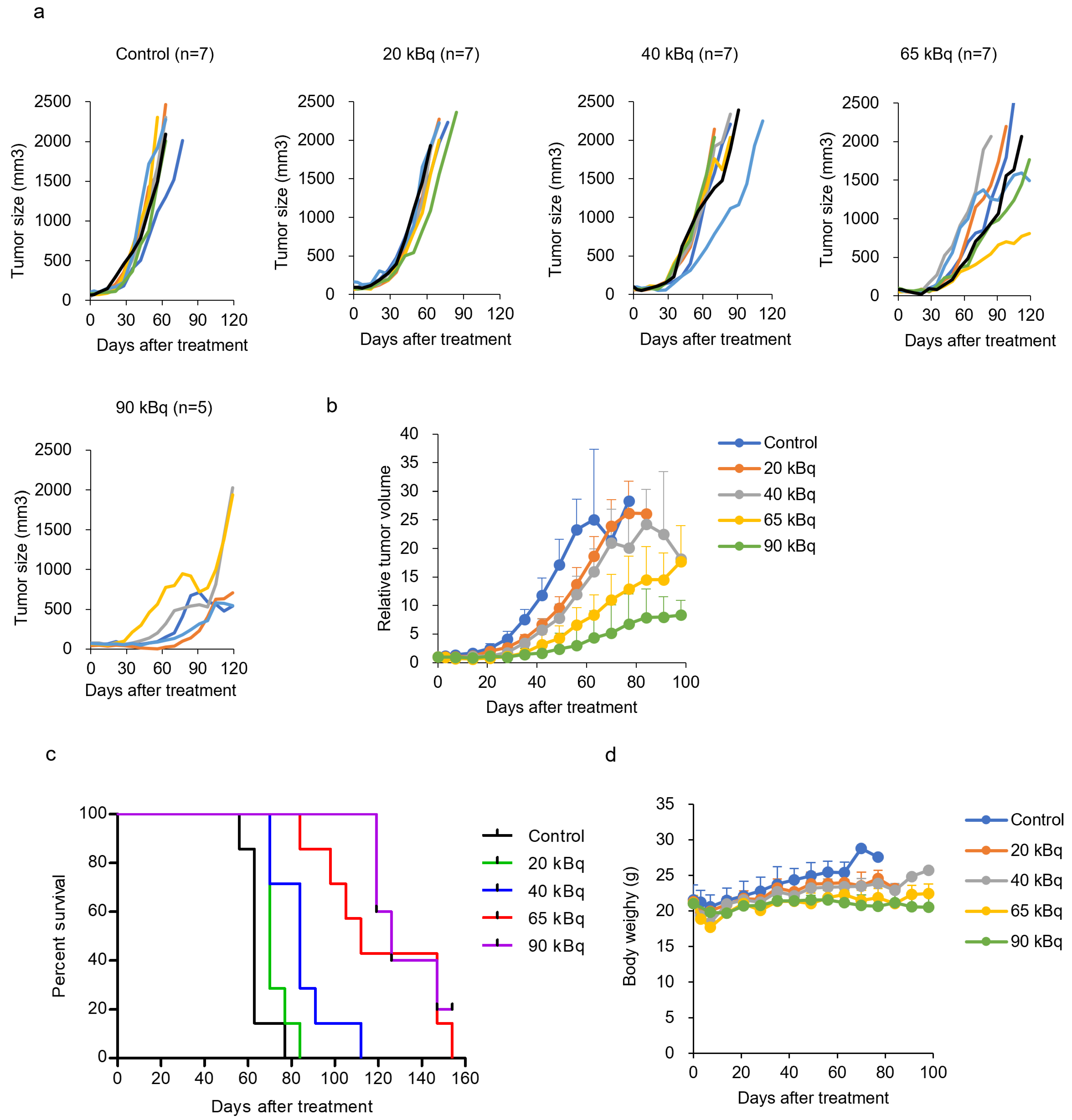 Pharmaceutics 17 00009 g005