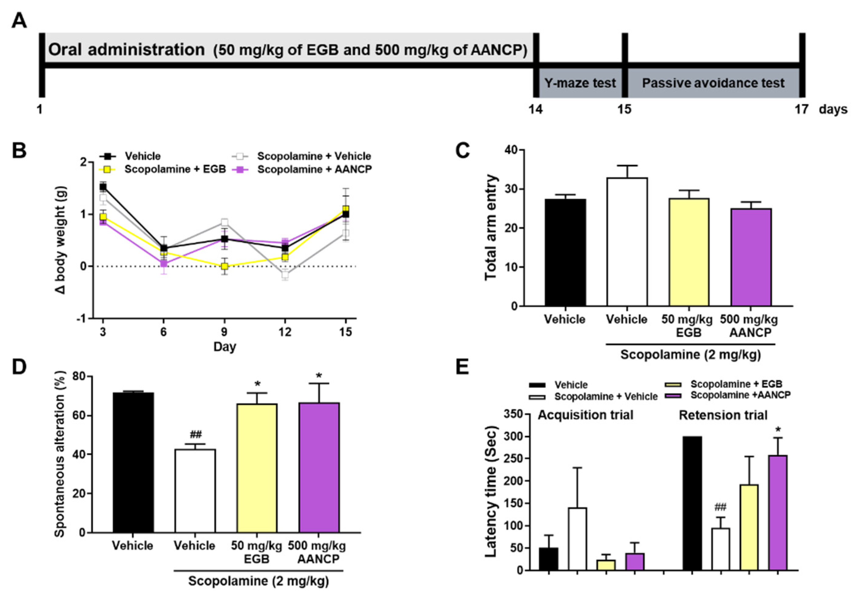 Pharmaceutics 17 00013 g006