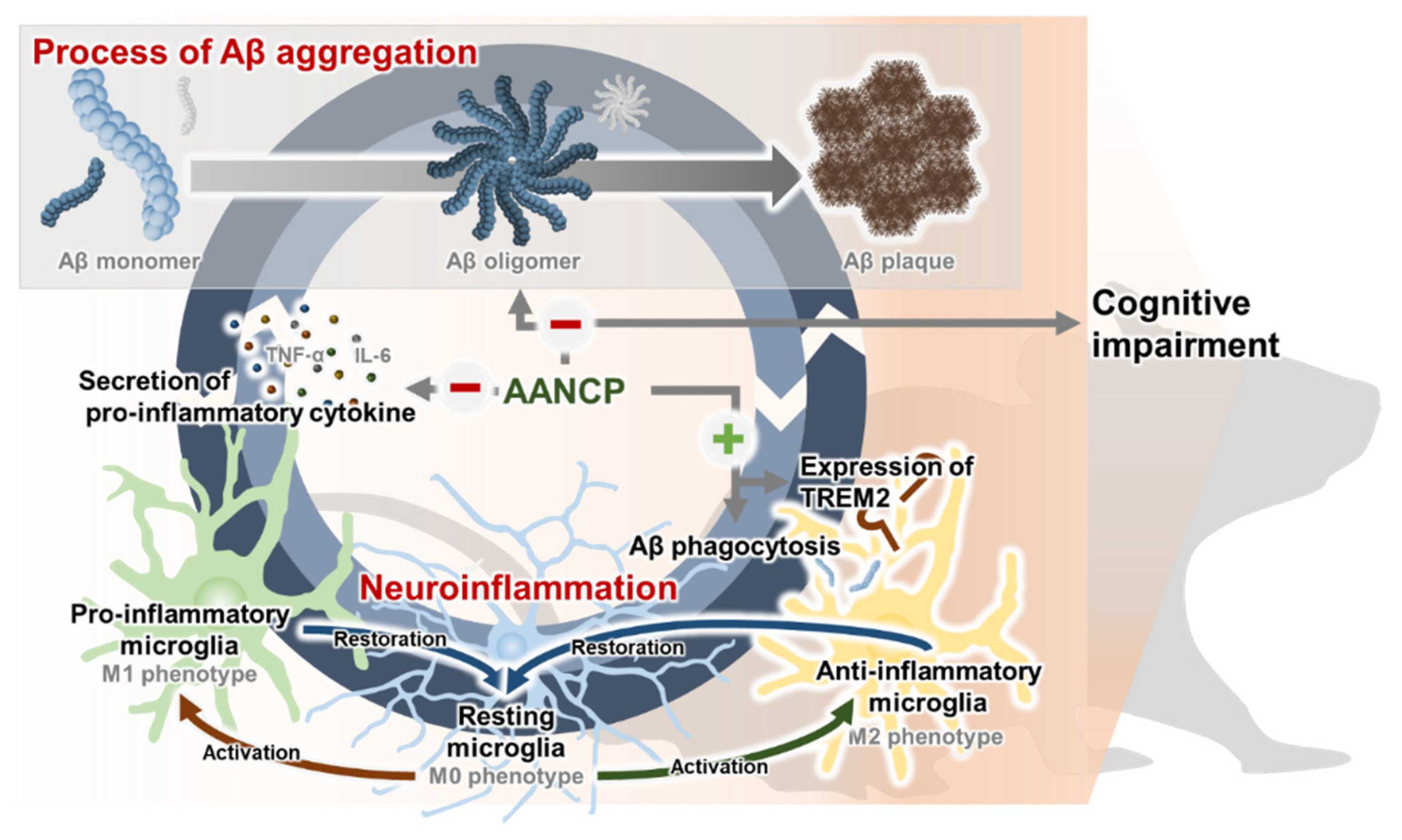 Pharmaceutics 17 00013 g007