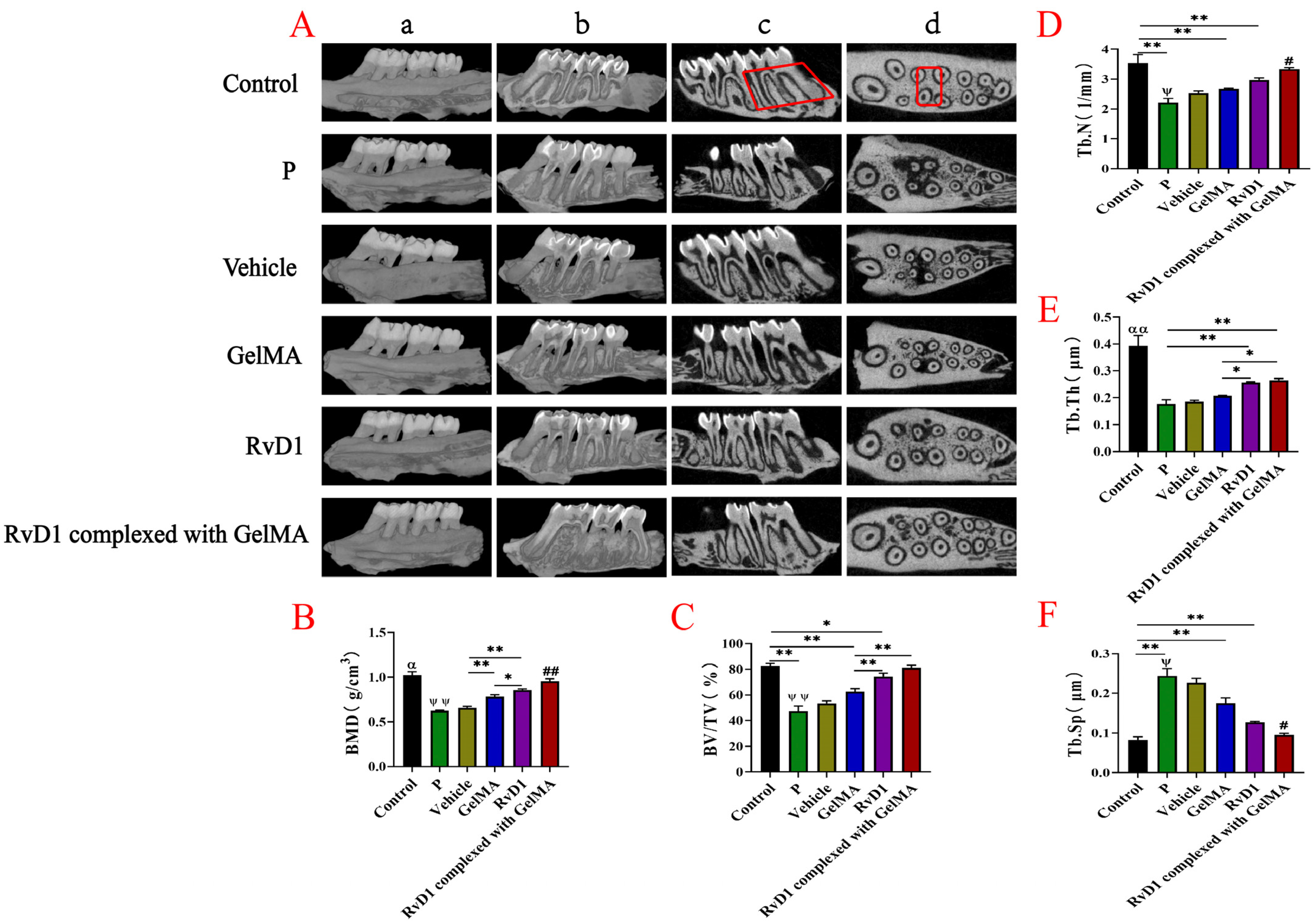 Pharmaceutics 17 00016 g005