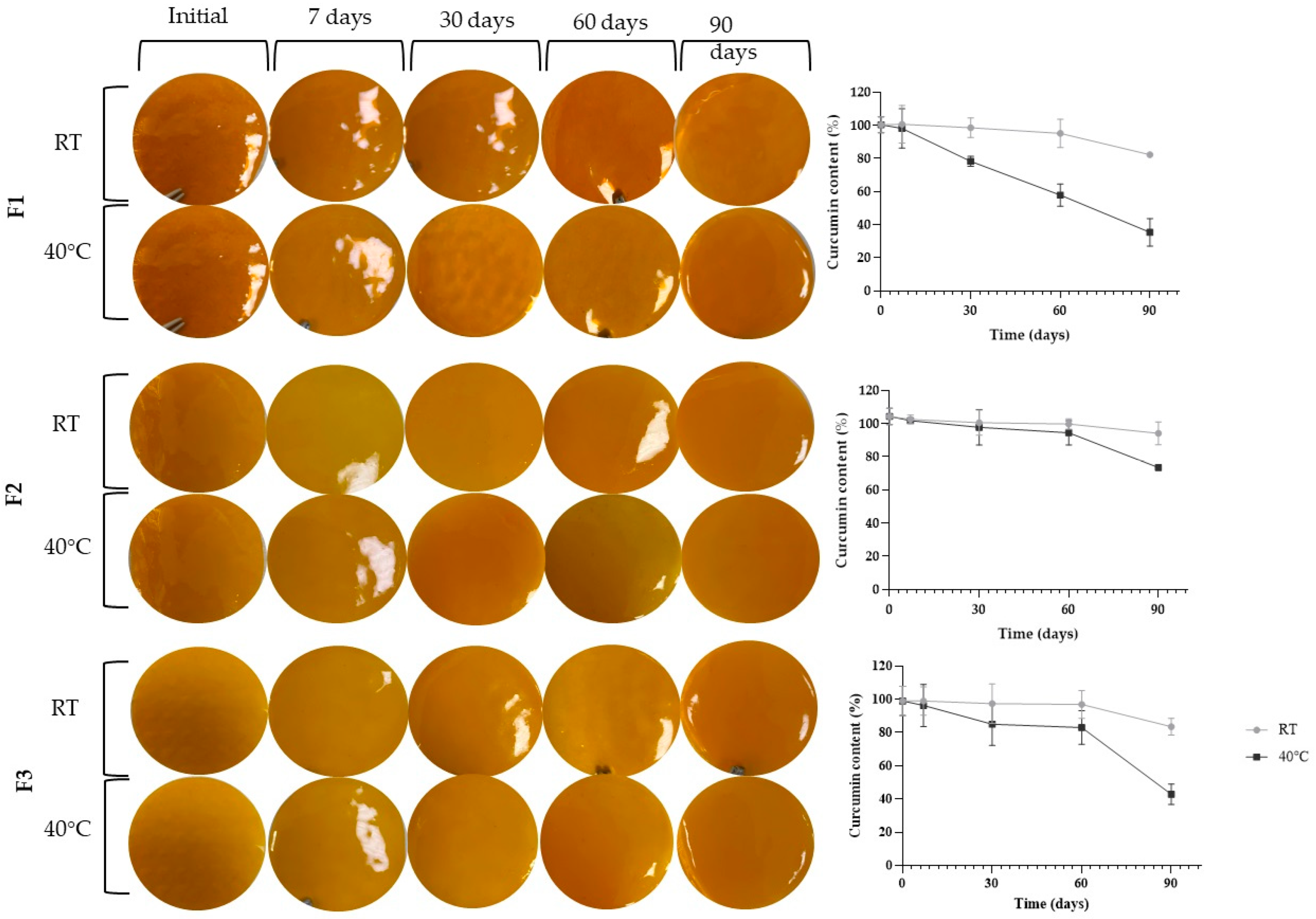 Pharmaceutics 17 00018 g001