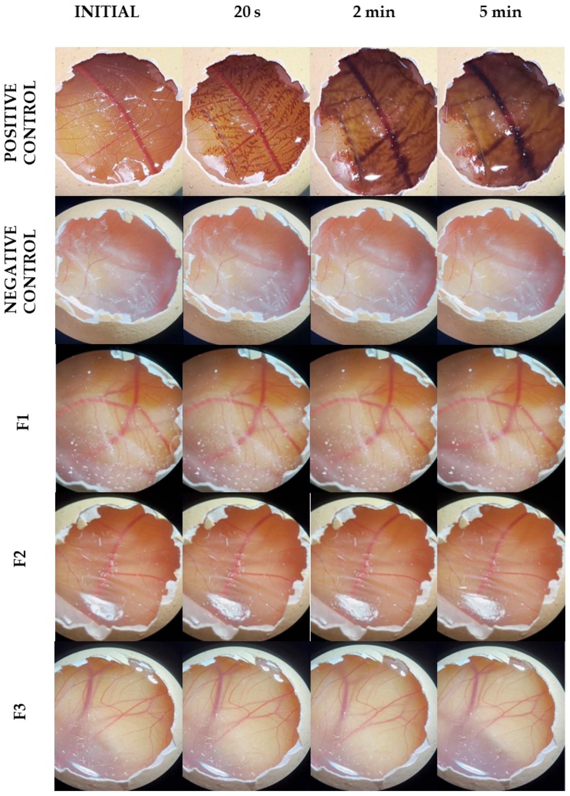Pharmaceutics 17 00018 g006