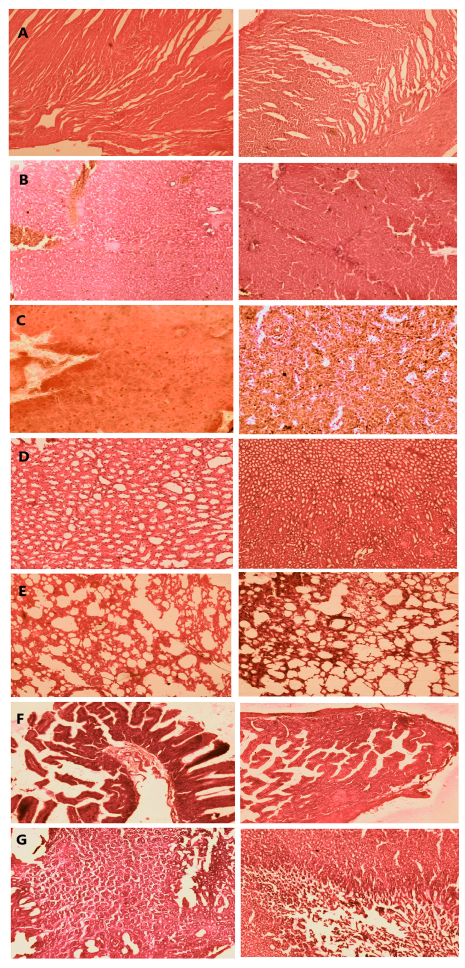 Pharmaceutics 17 00019 g011