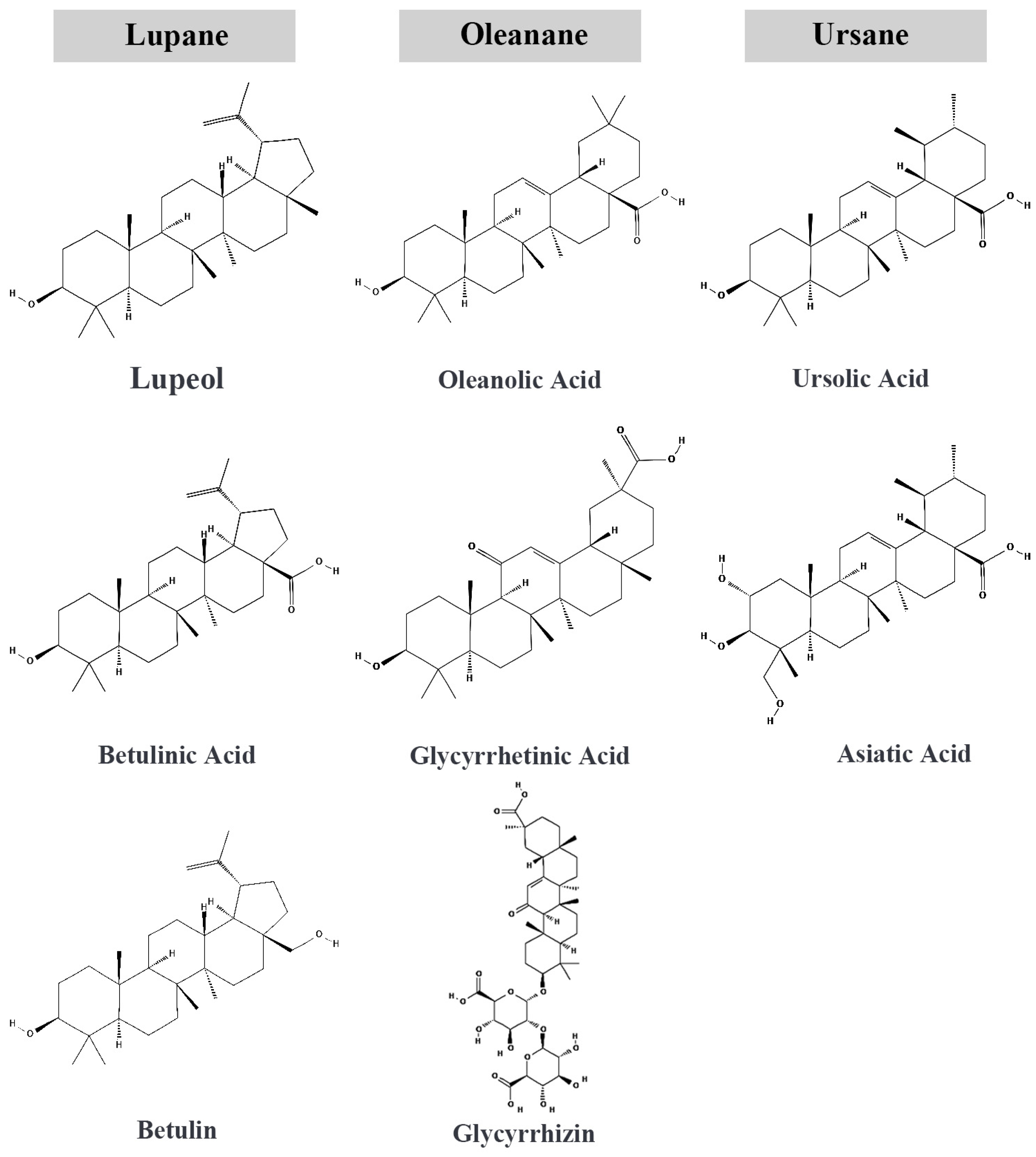 Pharmaceutics 17 00022 g001