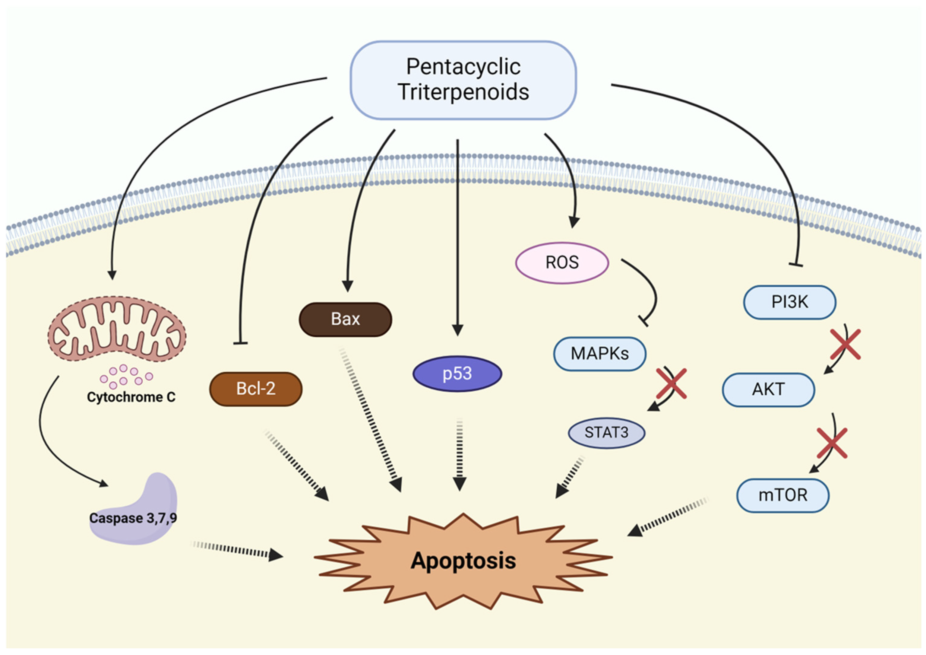 Pharmaceutics 17 00022 g003