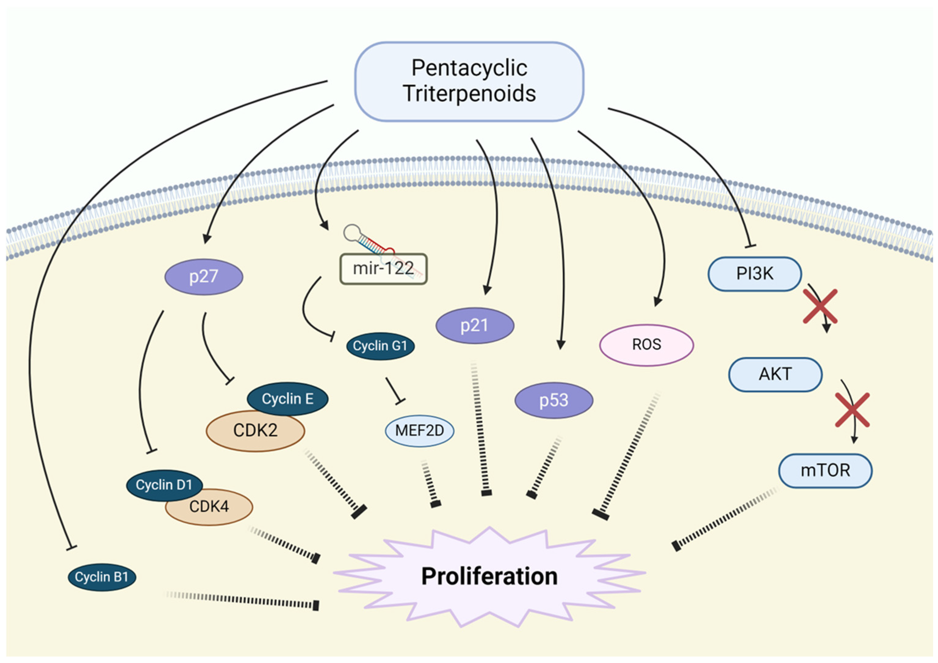 Pharmaceutics 17 00022 g004