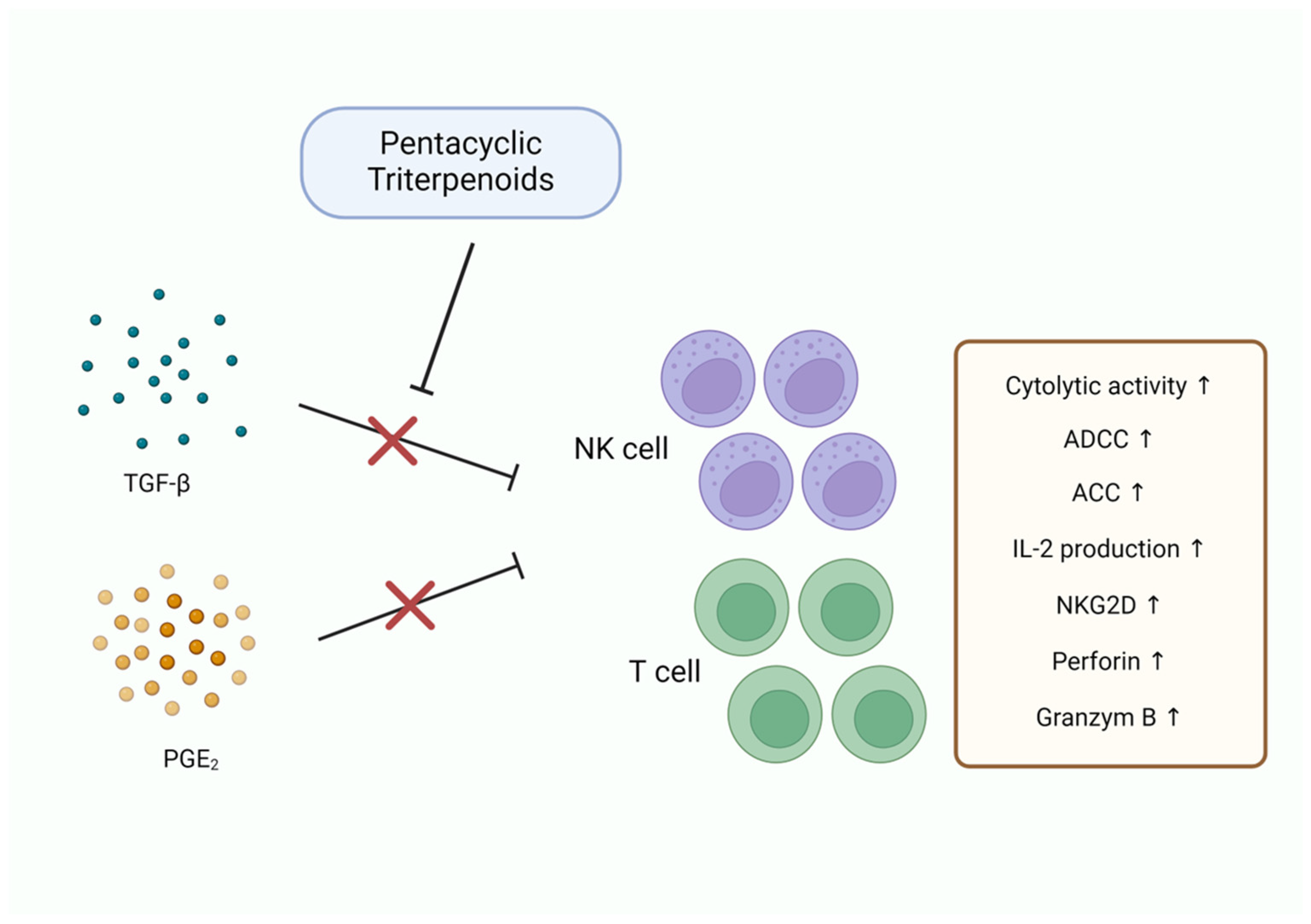 Pharmaceutics 17 00022 g008