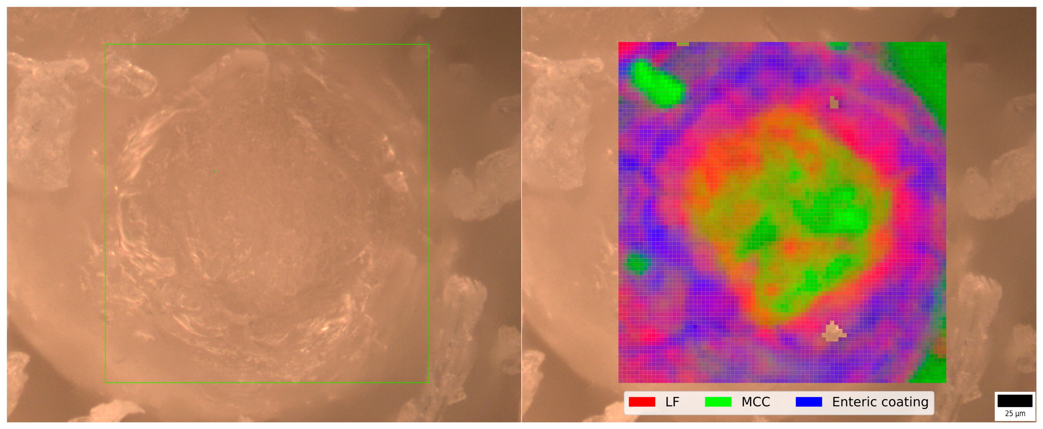 Pharmaceutics 17 00023 g002