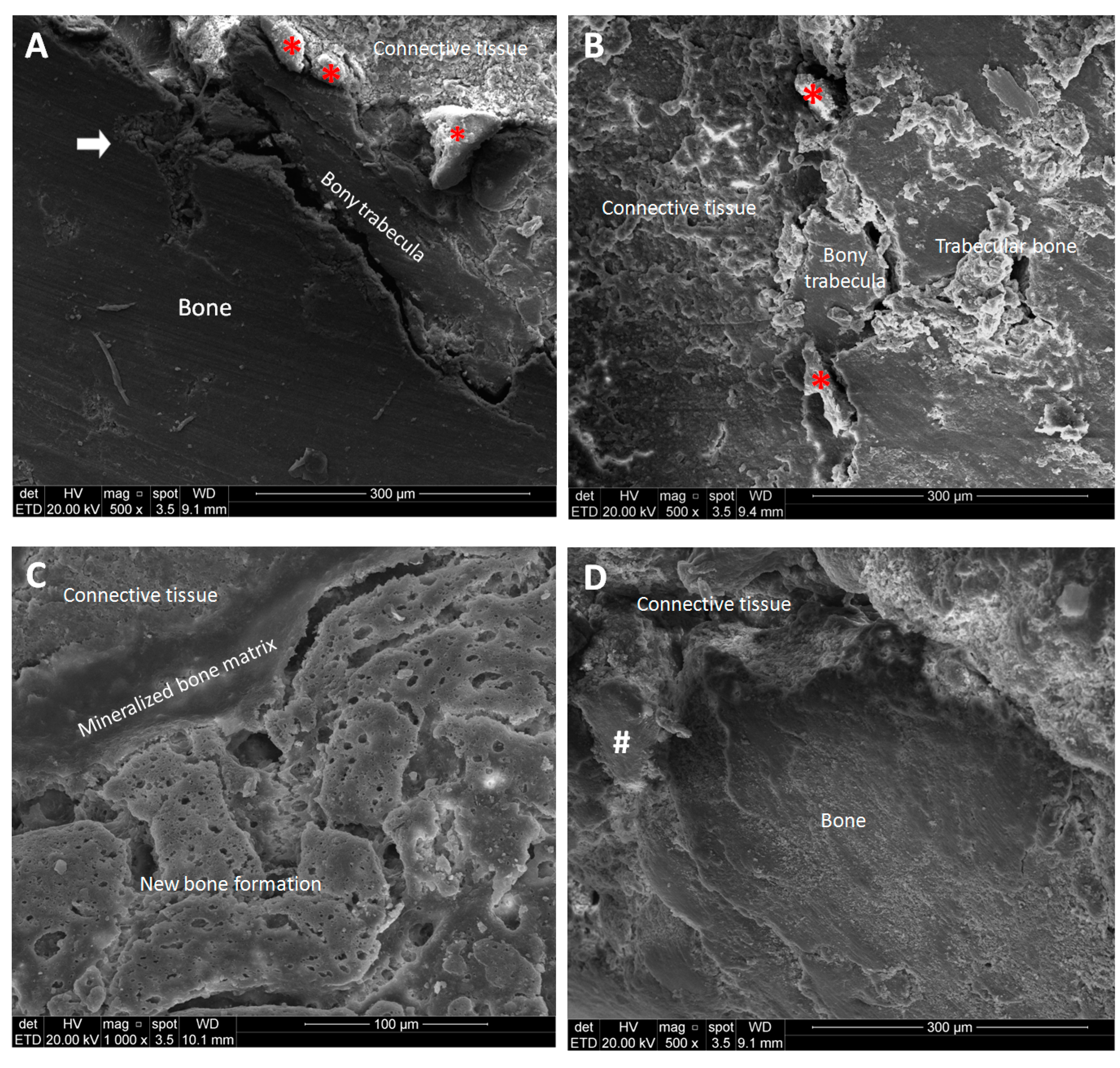 Pharmaceutics 17 00024 g005