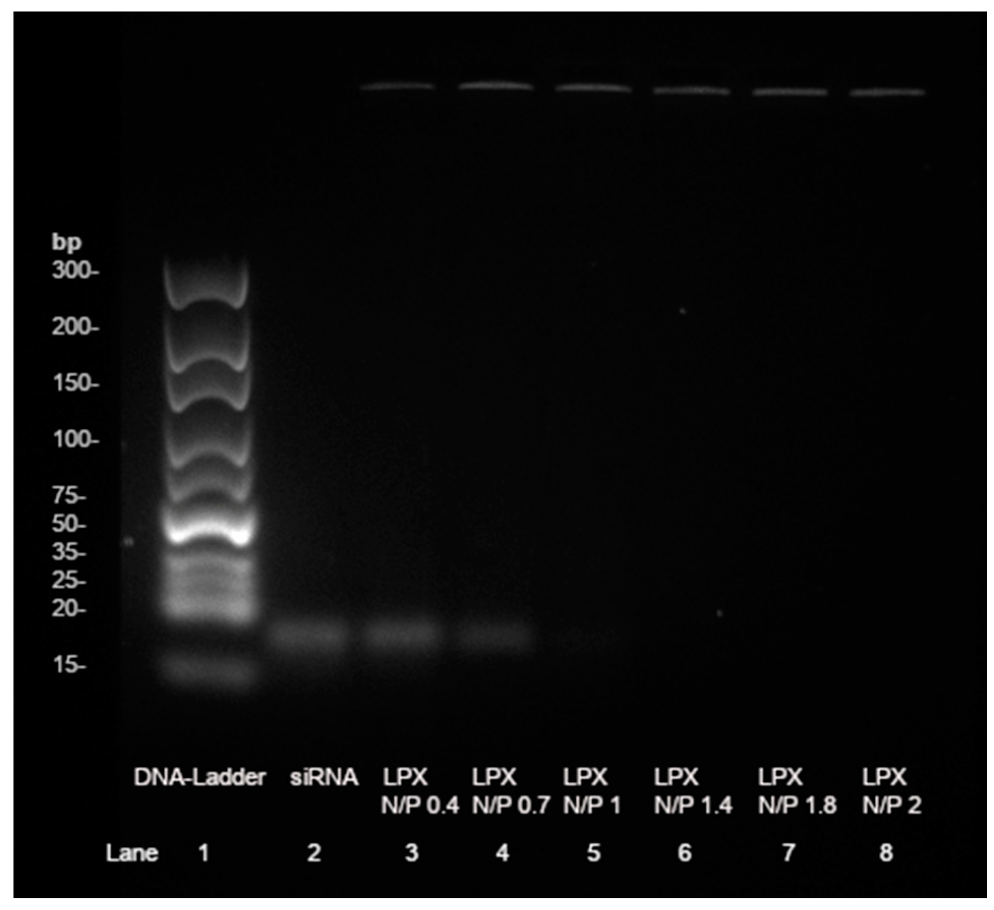 Pharmaceutics 17 00025 g004