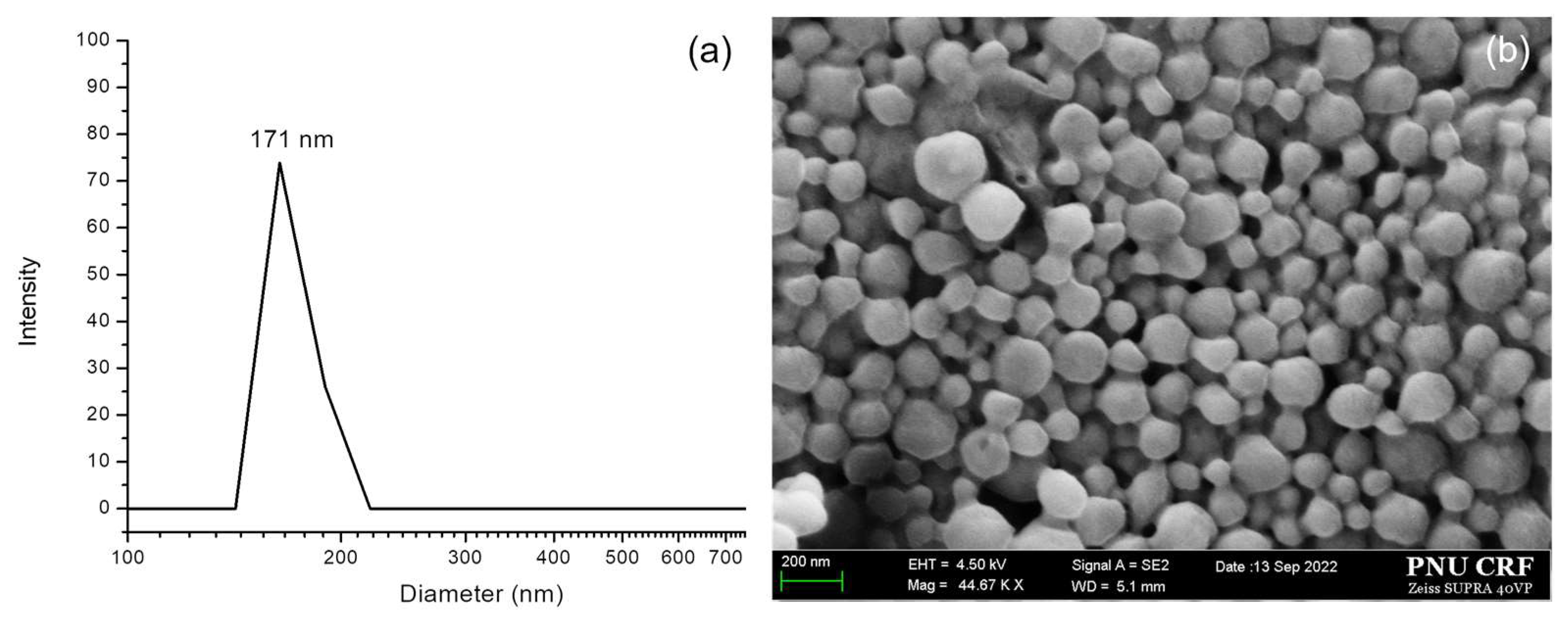 Pharmaceutics 17 00028 g007