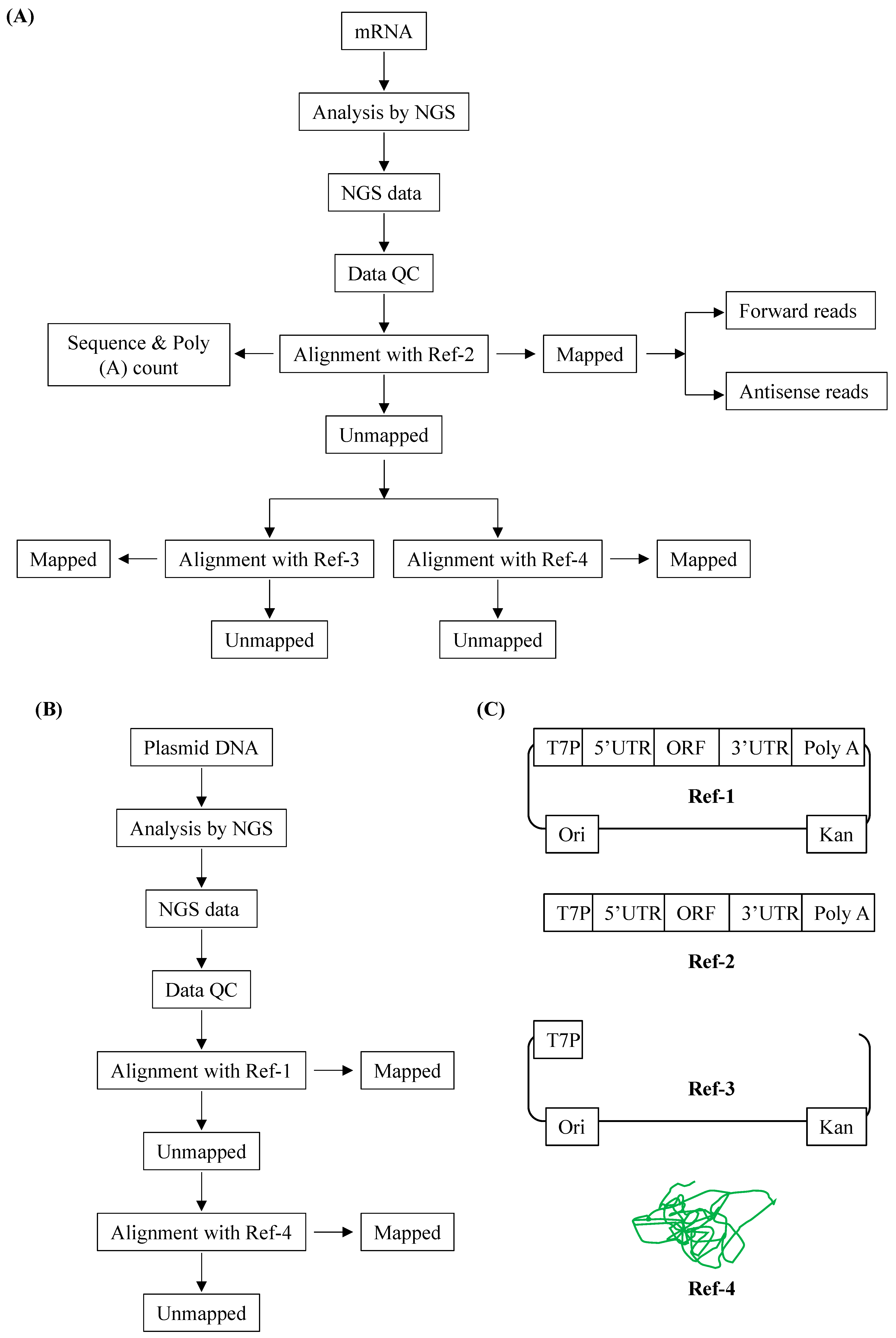 Pharmaceutics 17 00030 g002