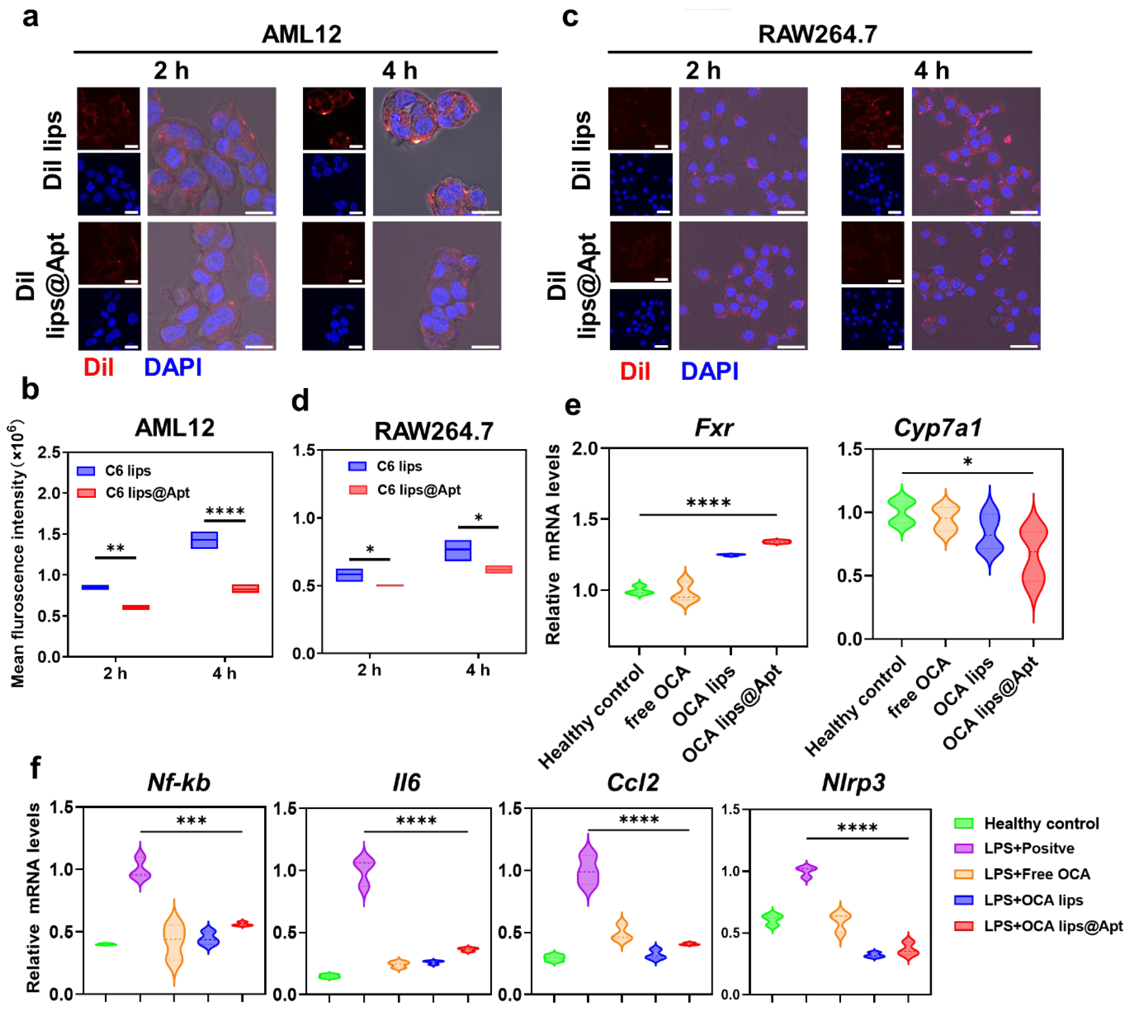 Pharmaceutics 17 00032 g002
