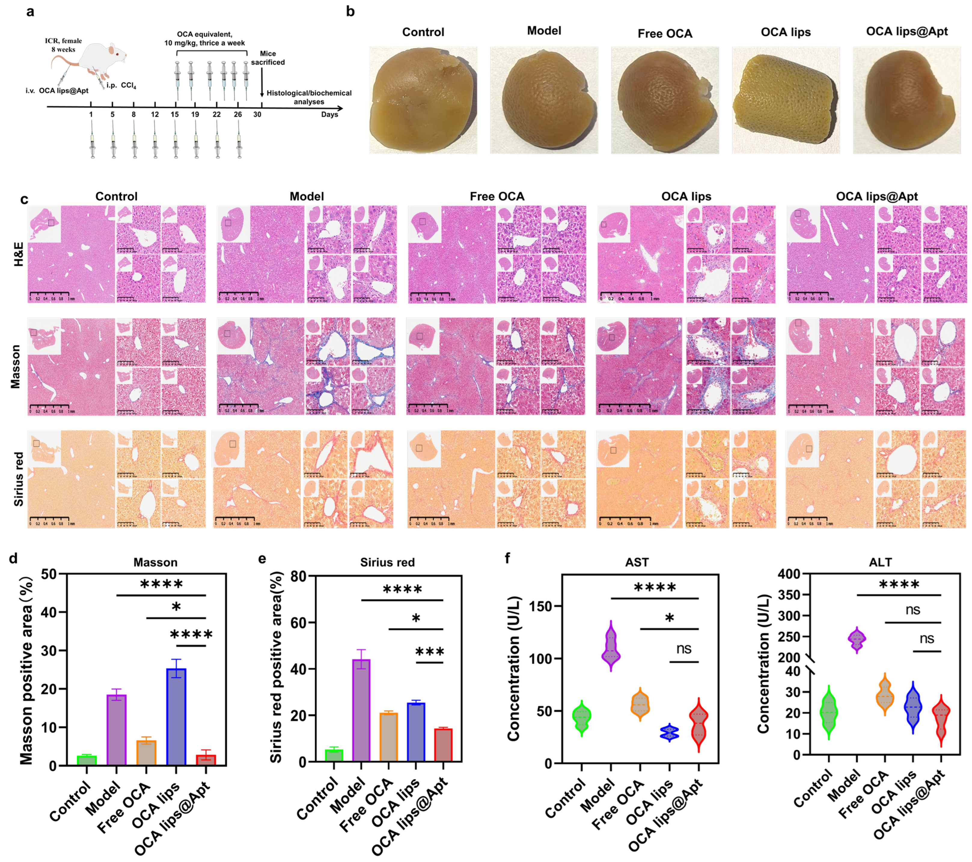 Pharmaceutics 17 00032 g004