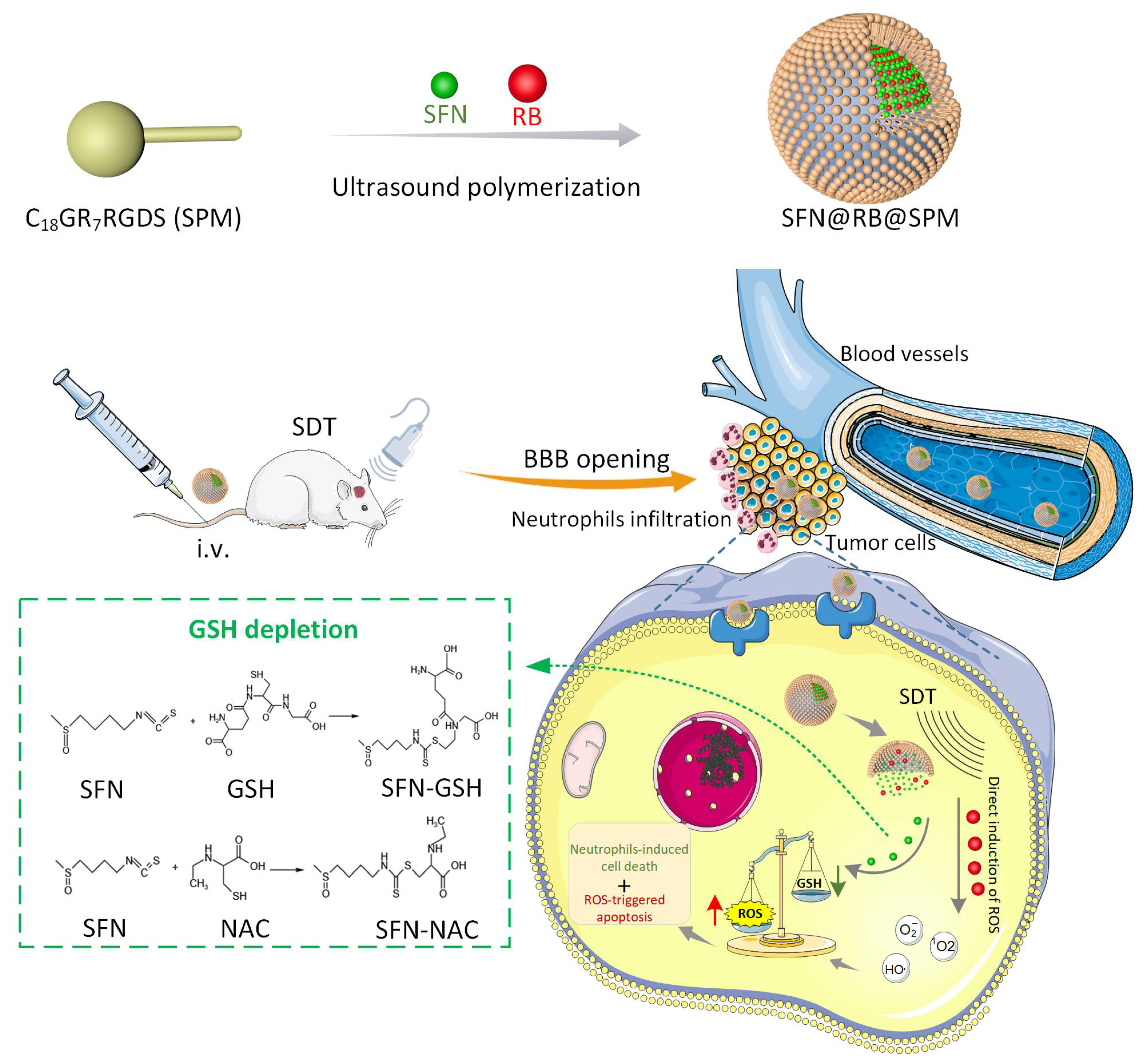 Pharmaceutics 17 00034 g006
