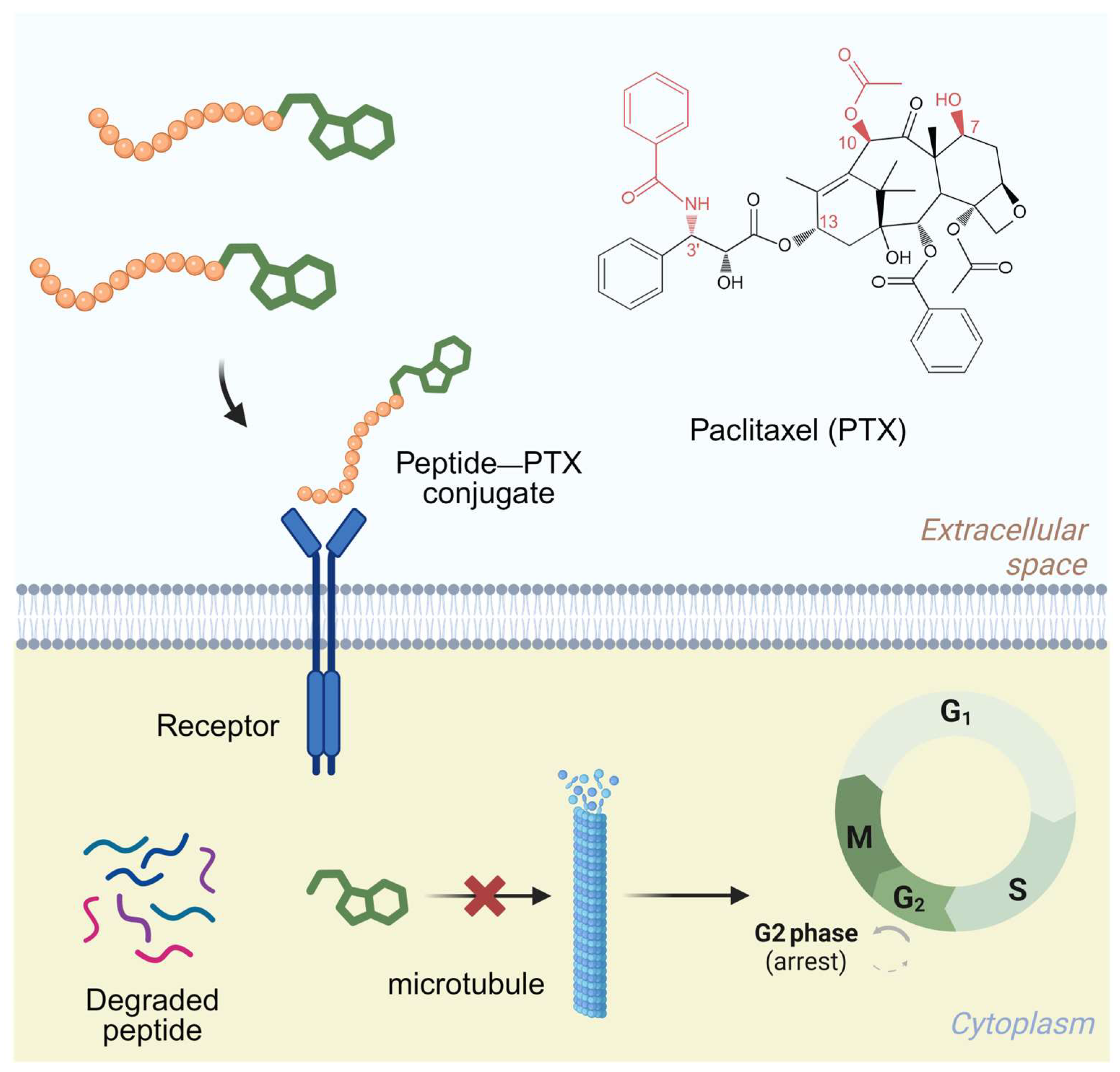 Pharmaceutics 17 00040 g001 Pharmaceutics 17 00040 g001