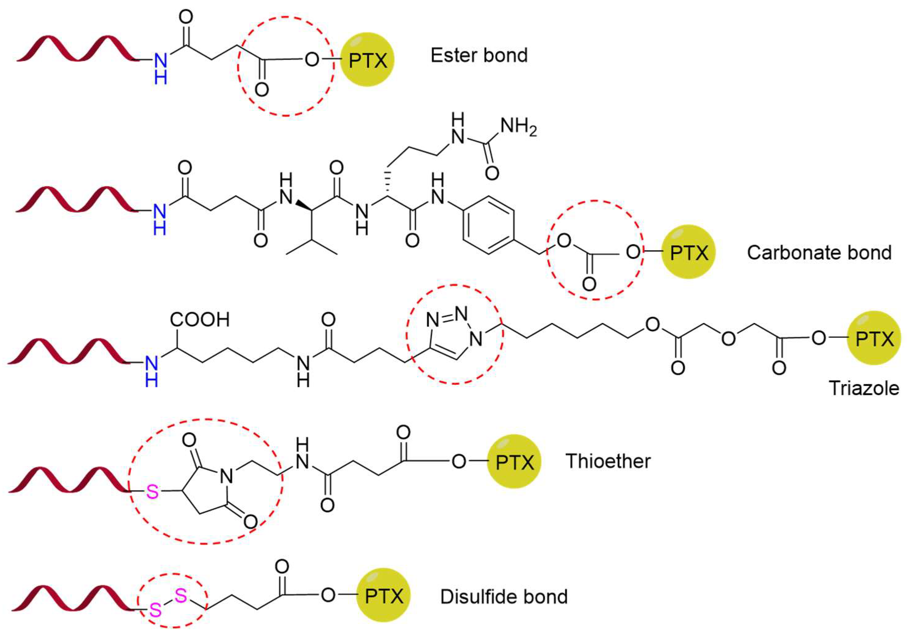 Pharmaceutics 17 00040 g002 Pharmaceutics 17 00040 g002