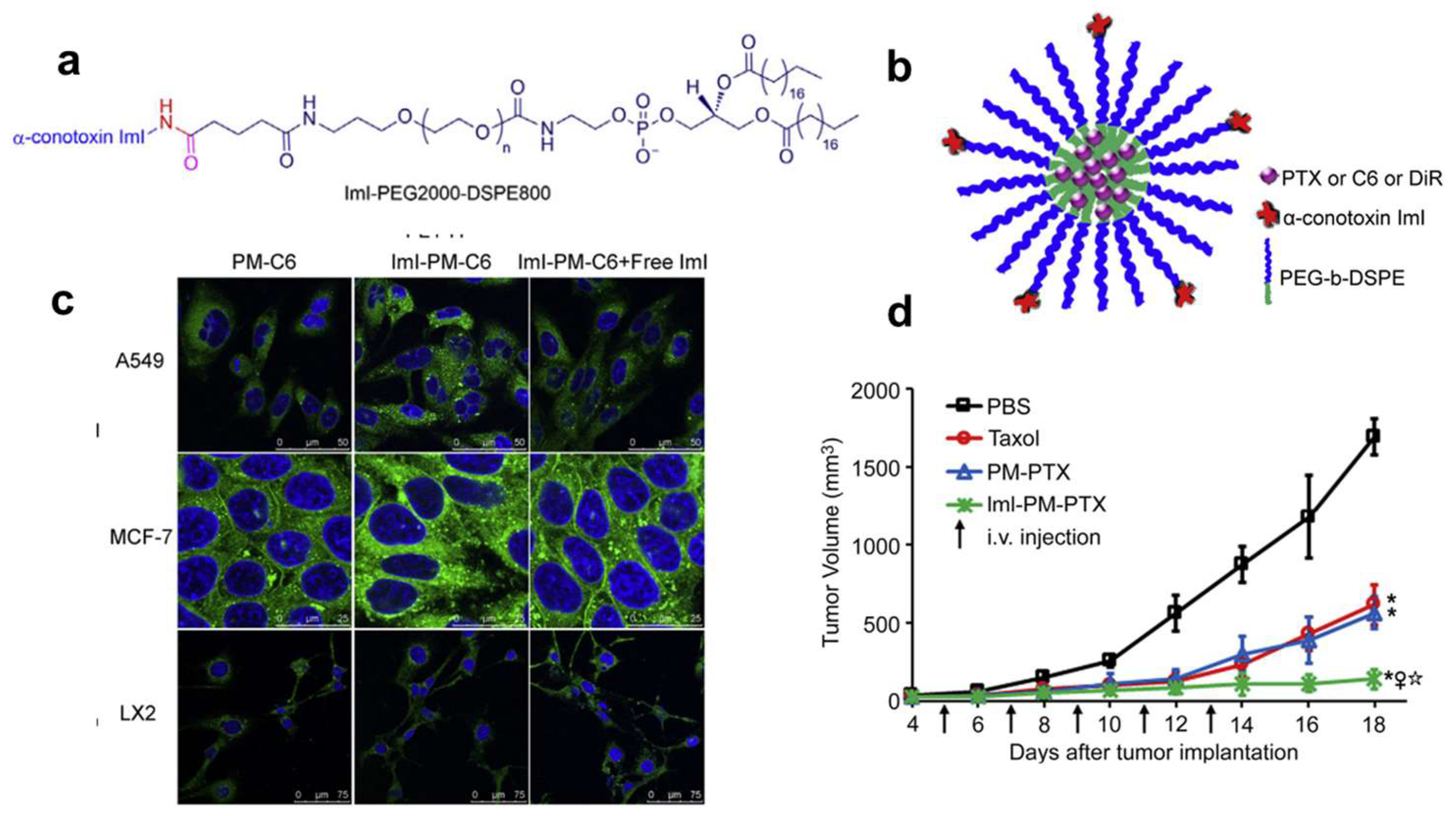 Pharmaceutics 17 00040 g006 Pharmaceutics 17 00040 g006