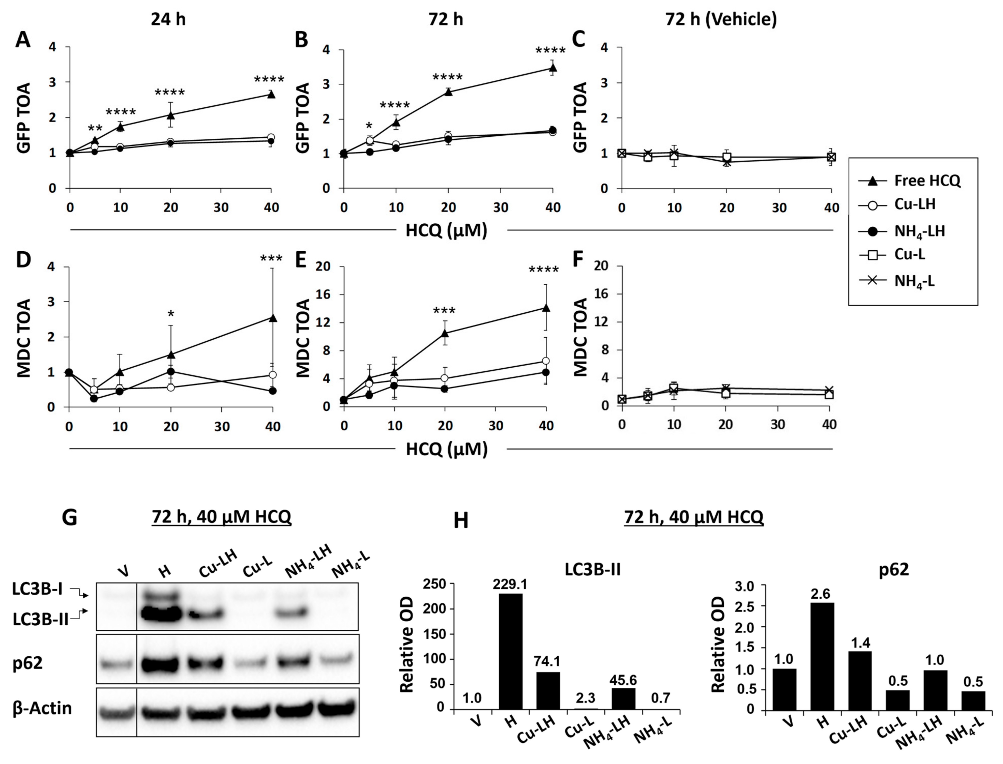 Pharmaceutics 17 00042 g004