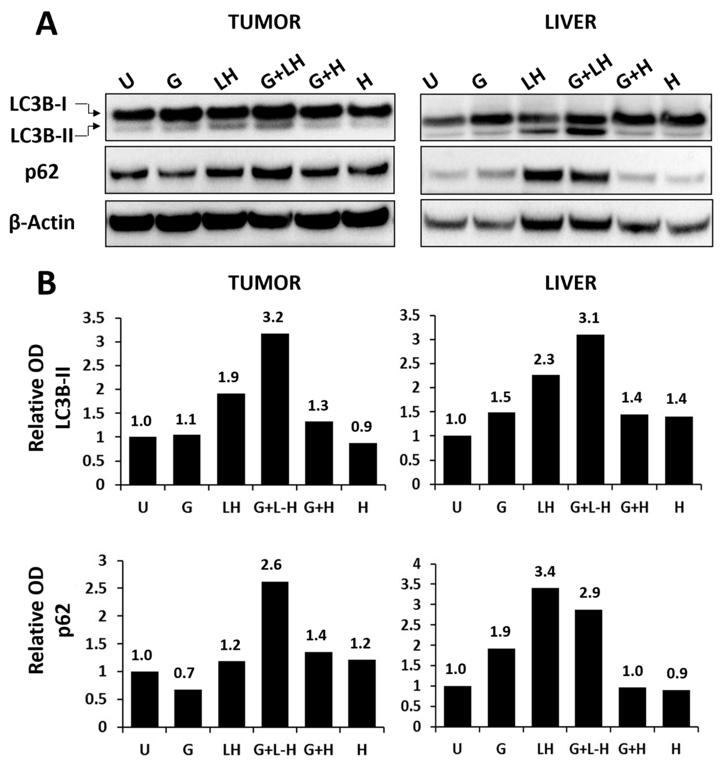 Pharmaceutics 17 00042 g007
