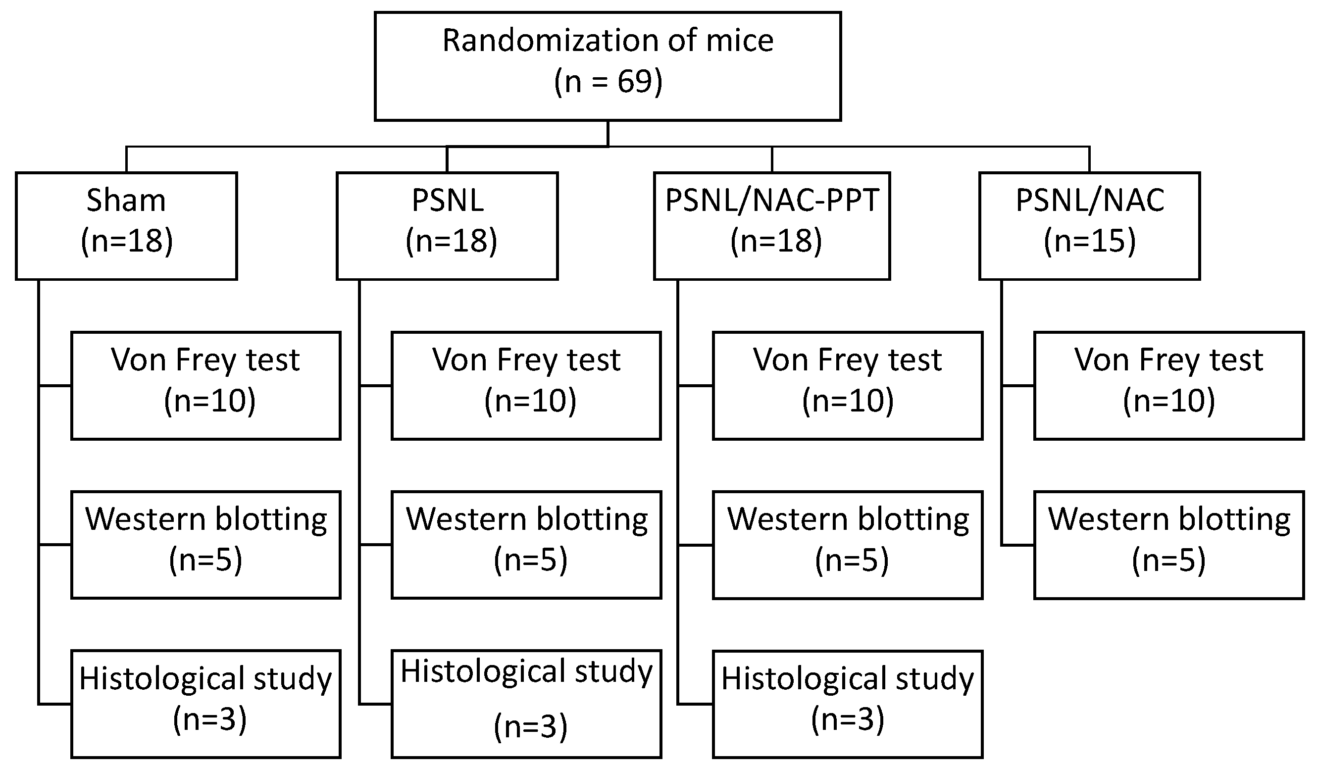 Pharmaceutics 17 00044 g001