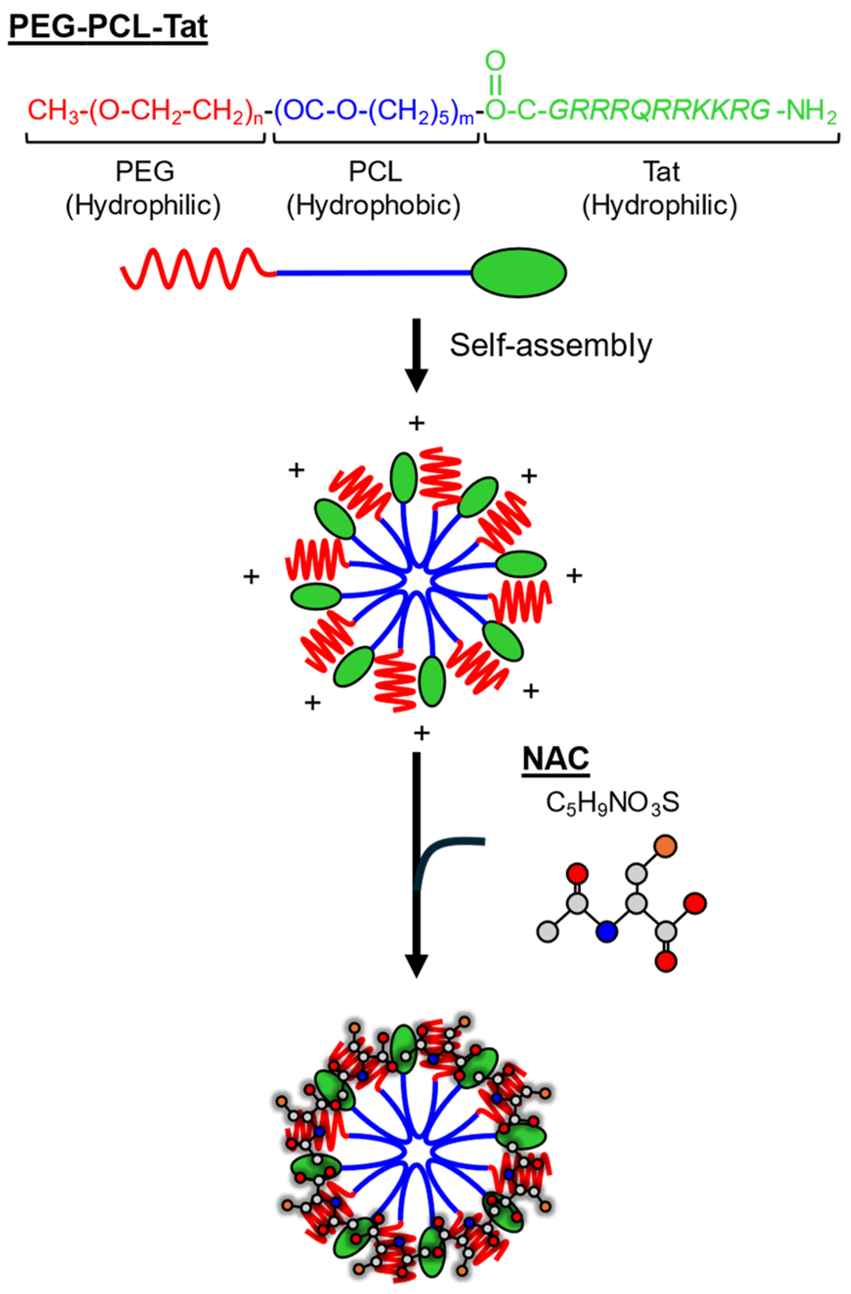 Pharmaceutics 17 00044 g002