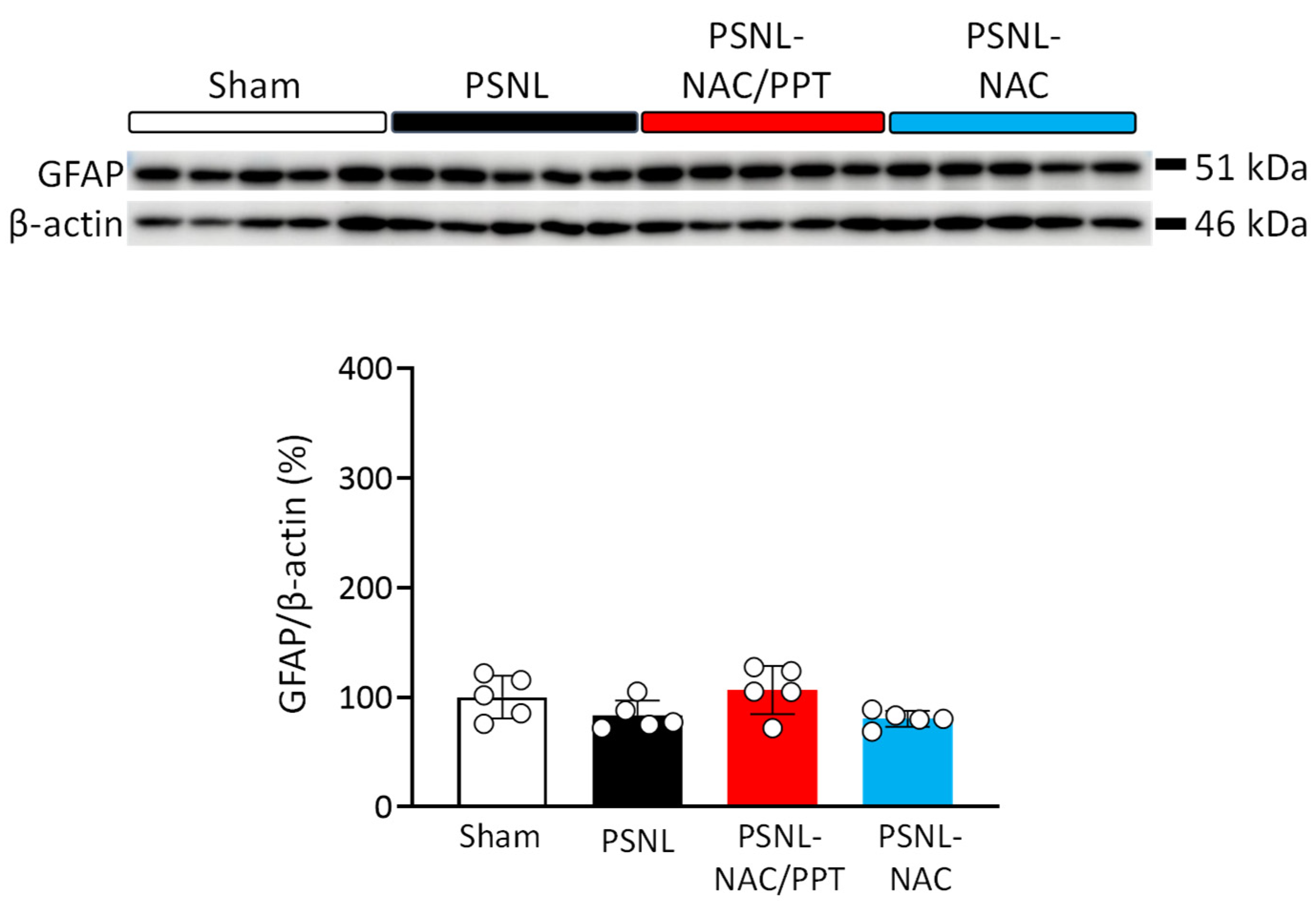 Pharmaceutics 17 00044 g005