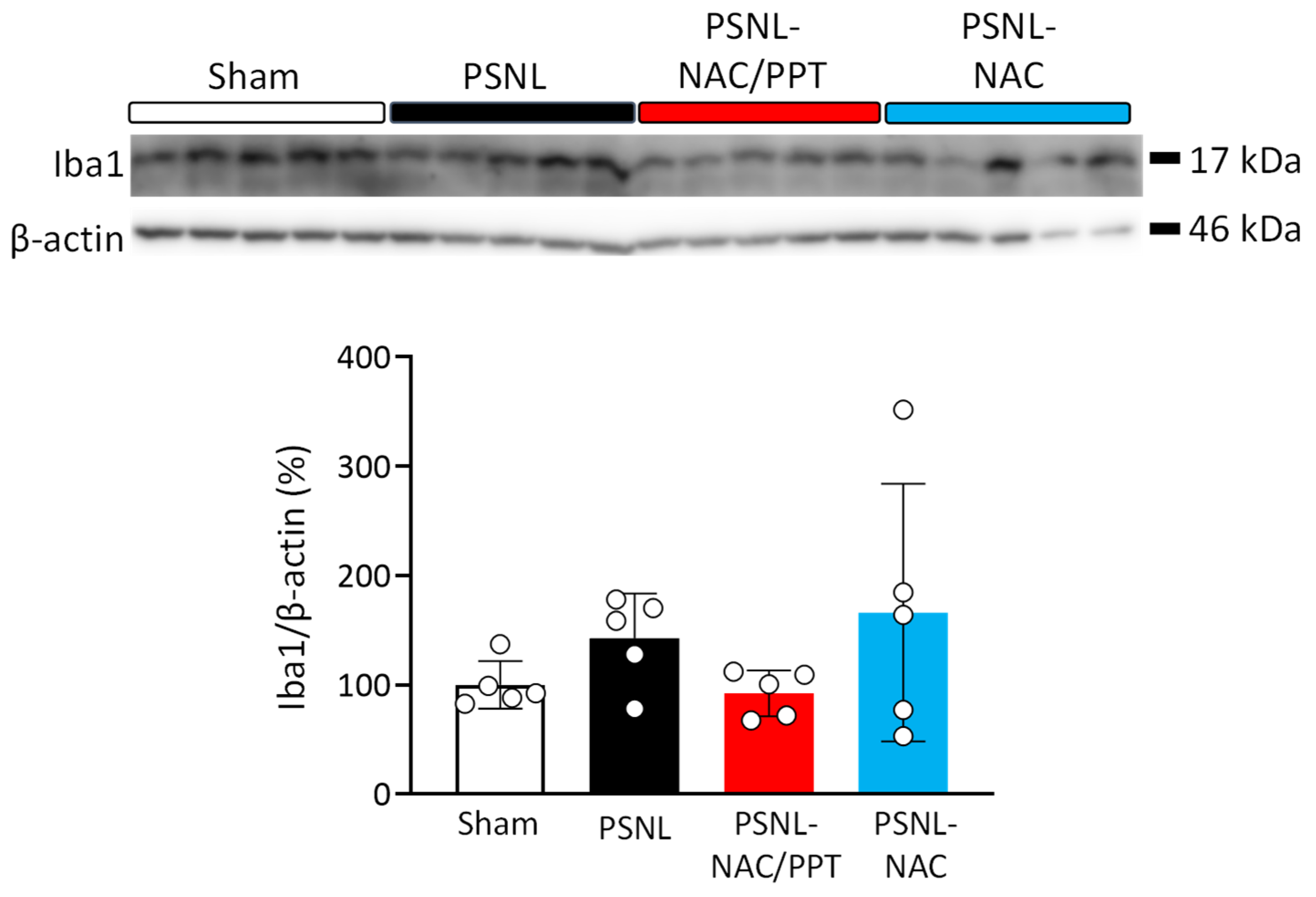 Pharmaceutics 17 00044 g006