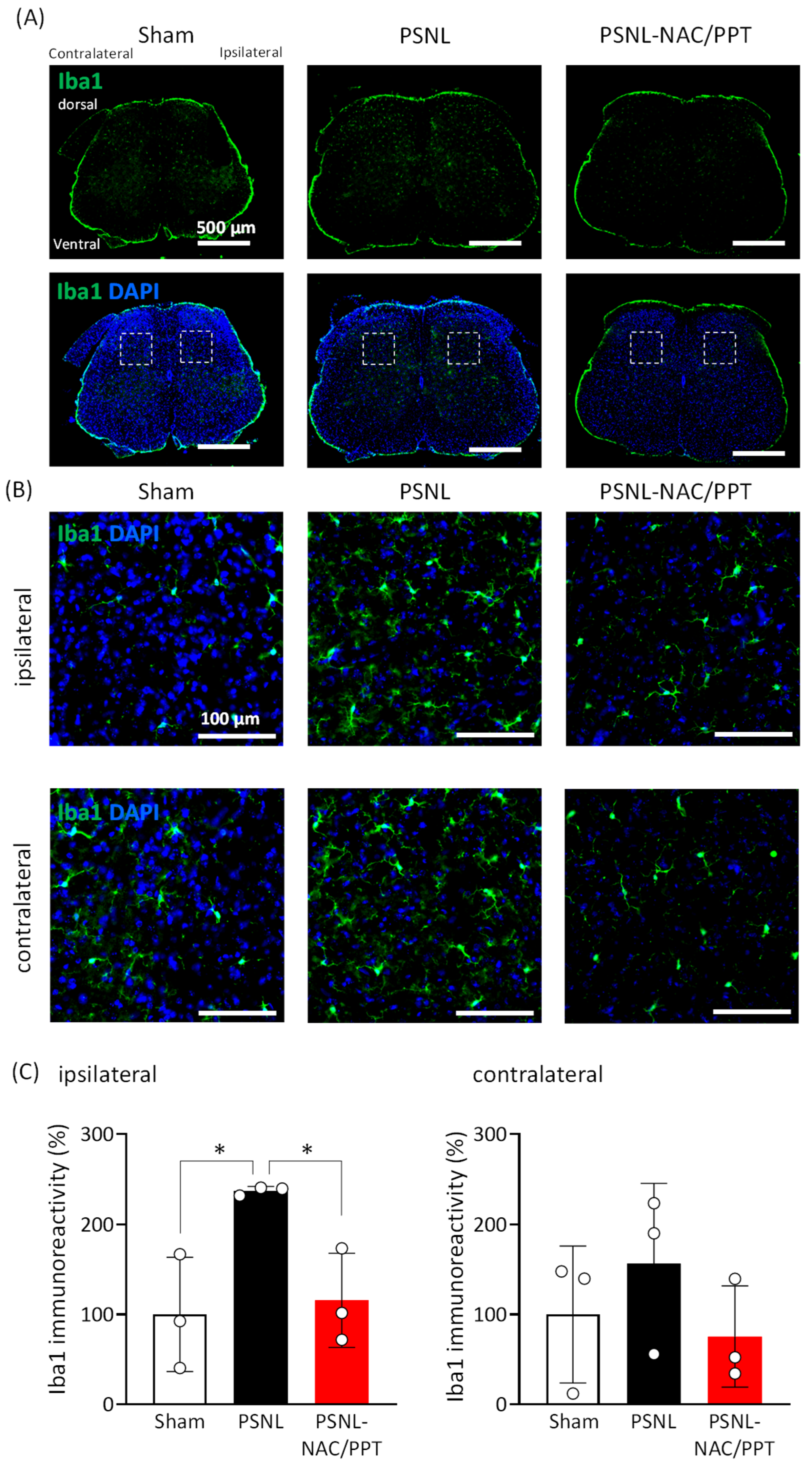 Pharmaceutics 17 00044 g007