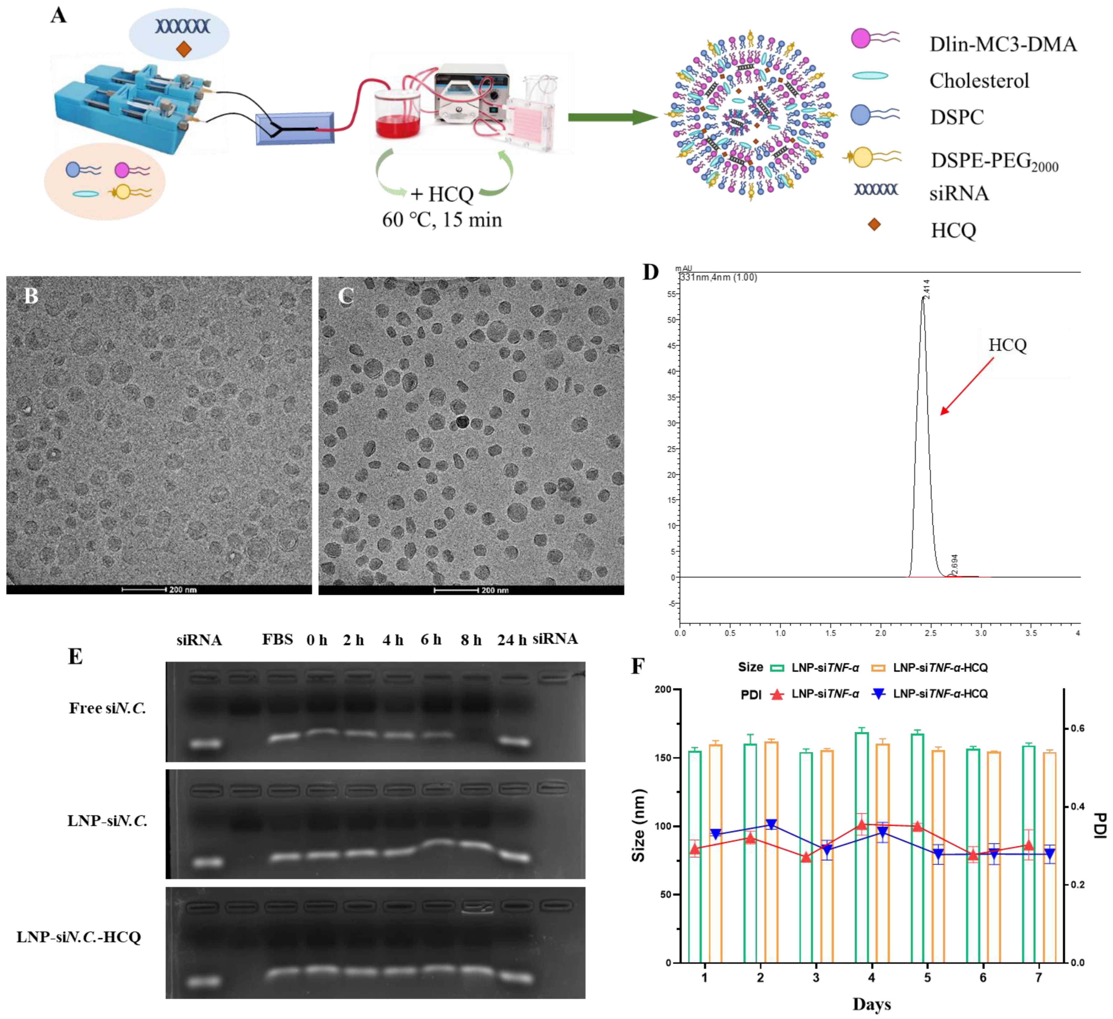 Pharmaceutics 17 00045 g001