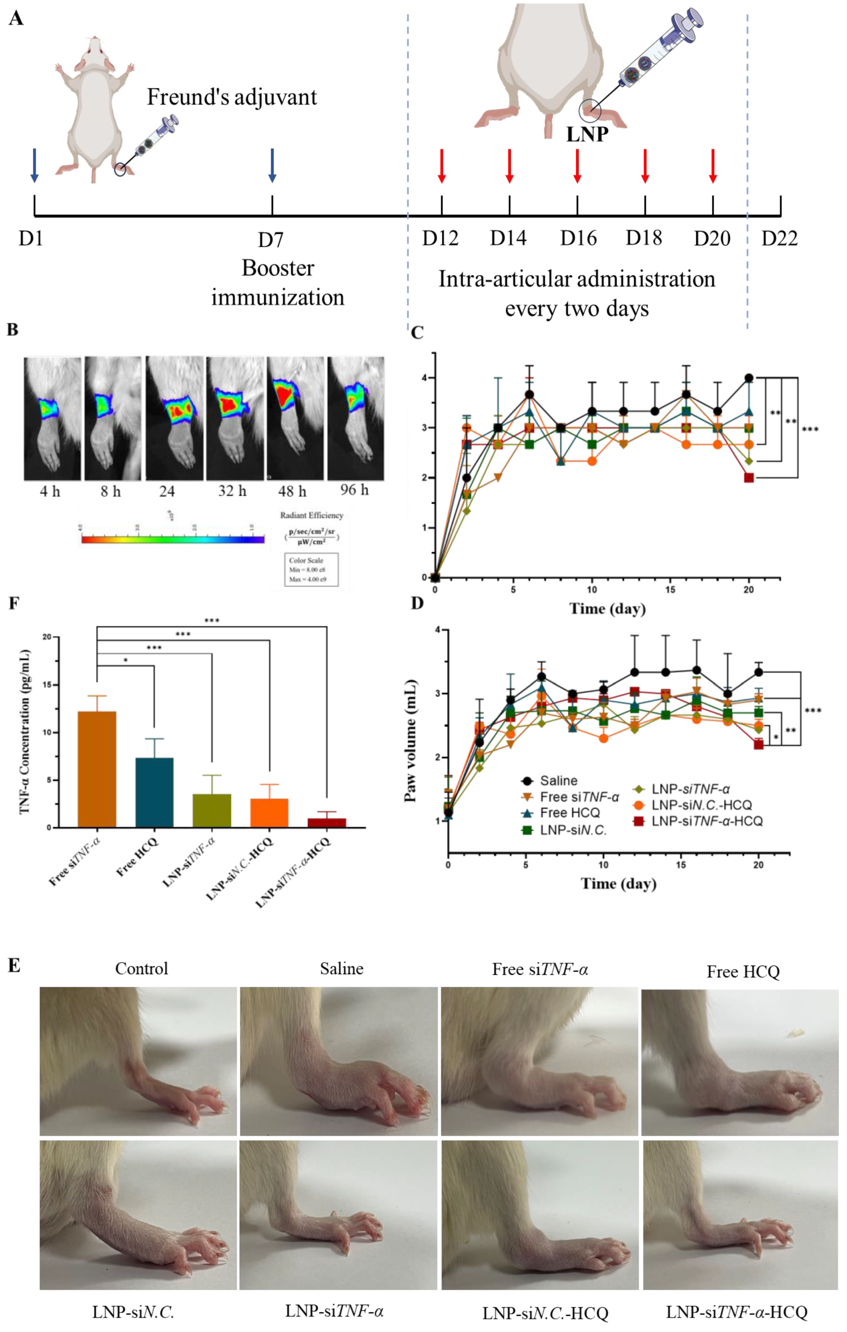Pharmaceutics 17 00045 g004