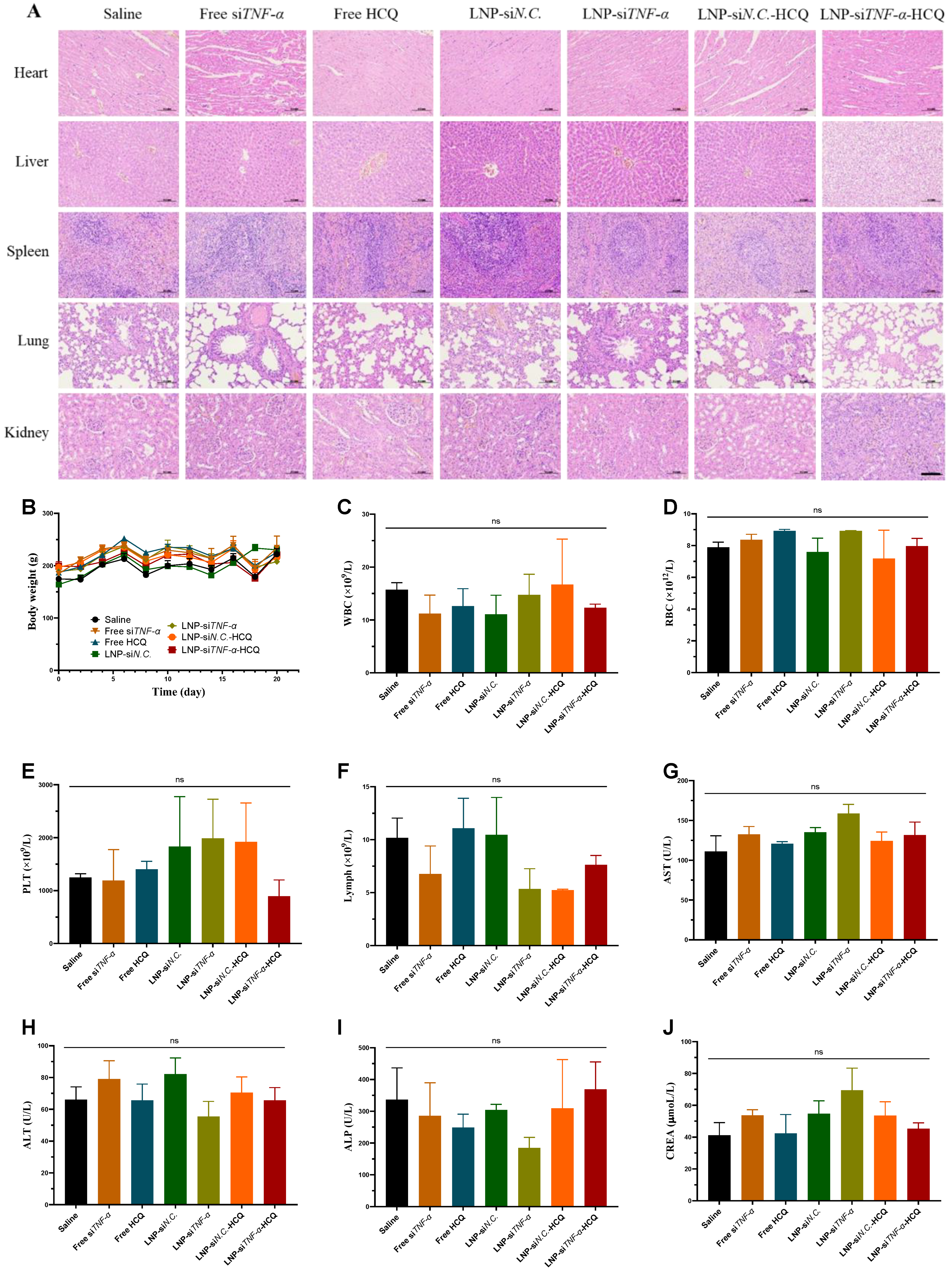 Pharmaceutics 17 00045 g005