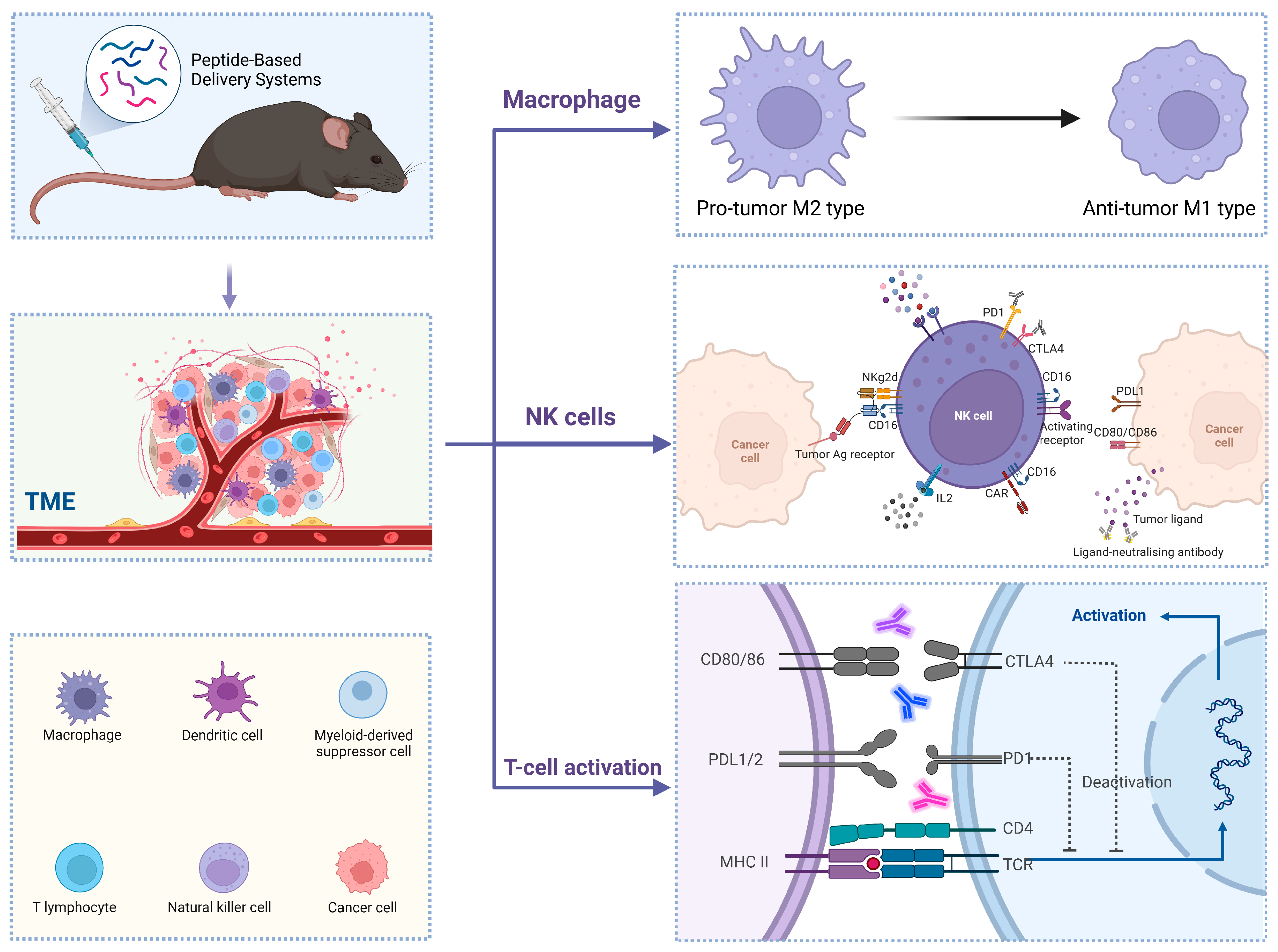 Pharmaceutics 17 00046 g006