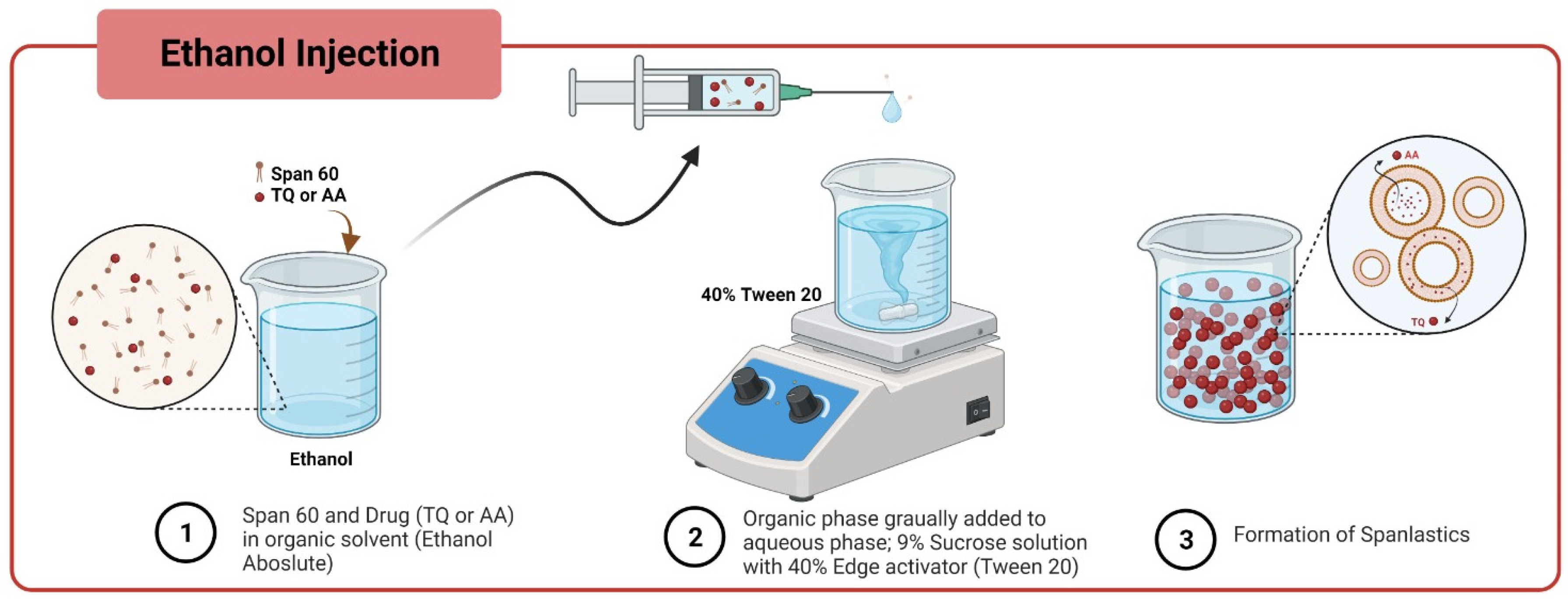 Pharmaceutics 17 00048 g001