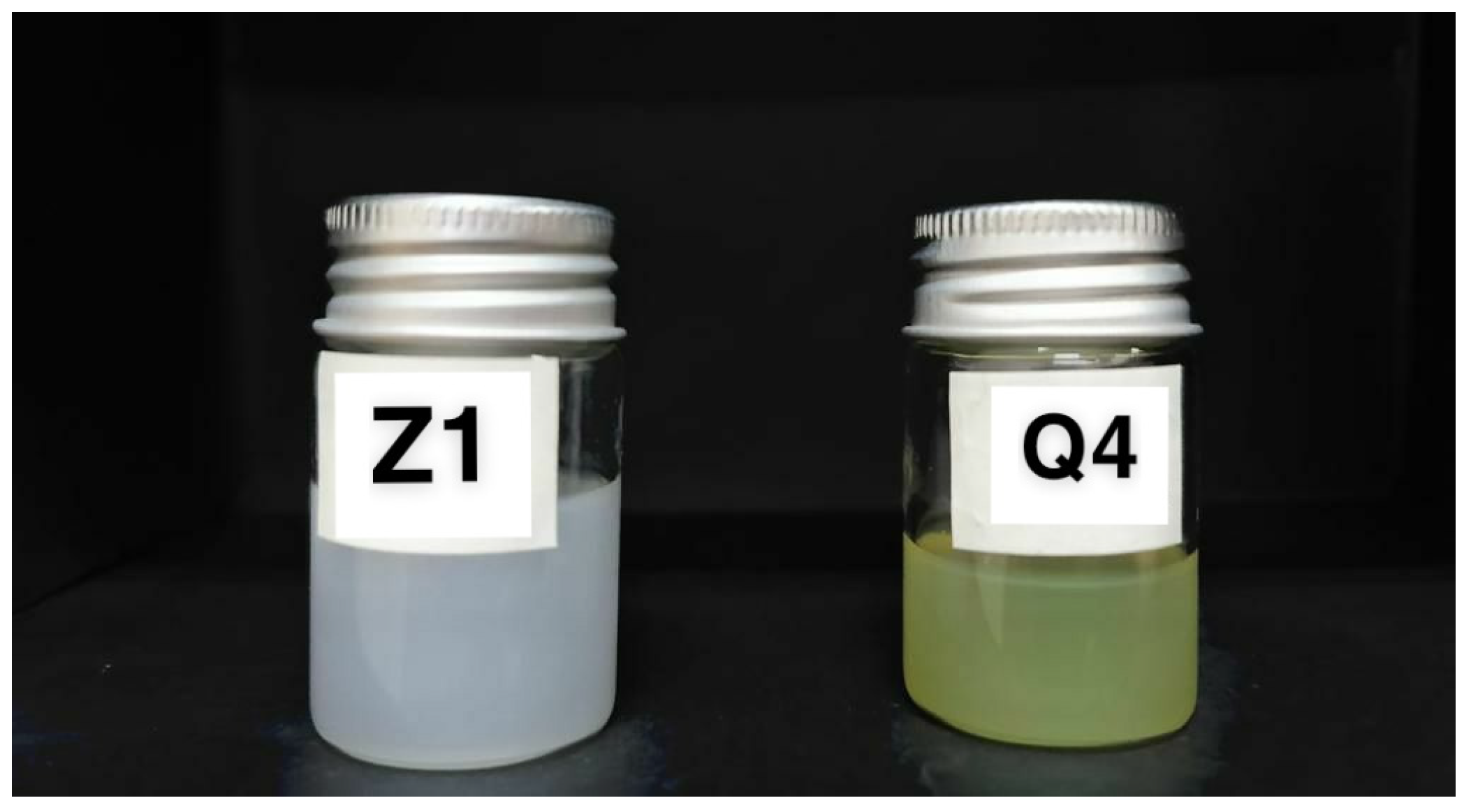 Pharmaceutics 17 00048 g002