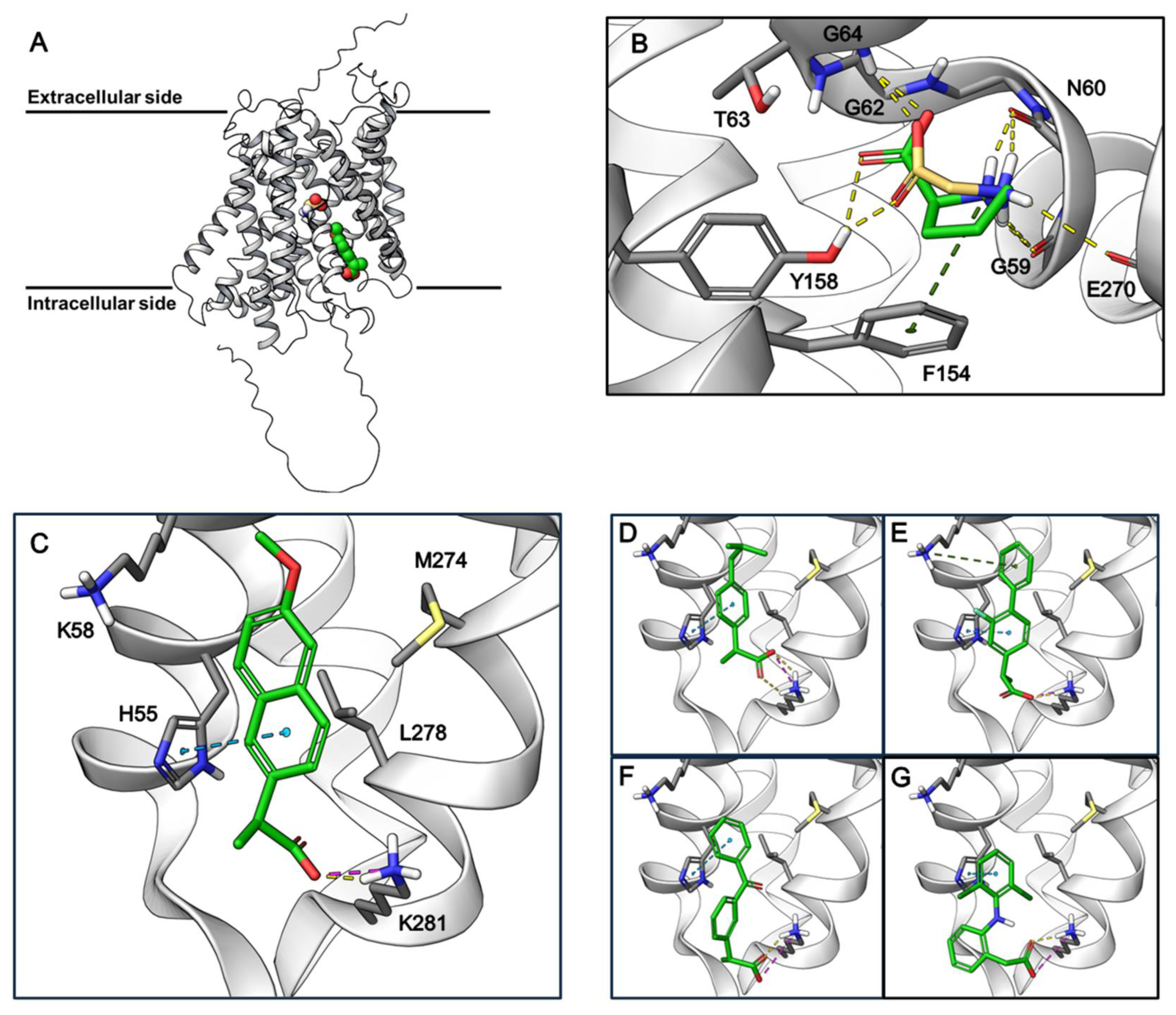 Pharmaceutics 17 00049 g006