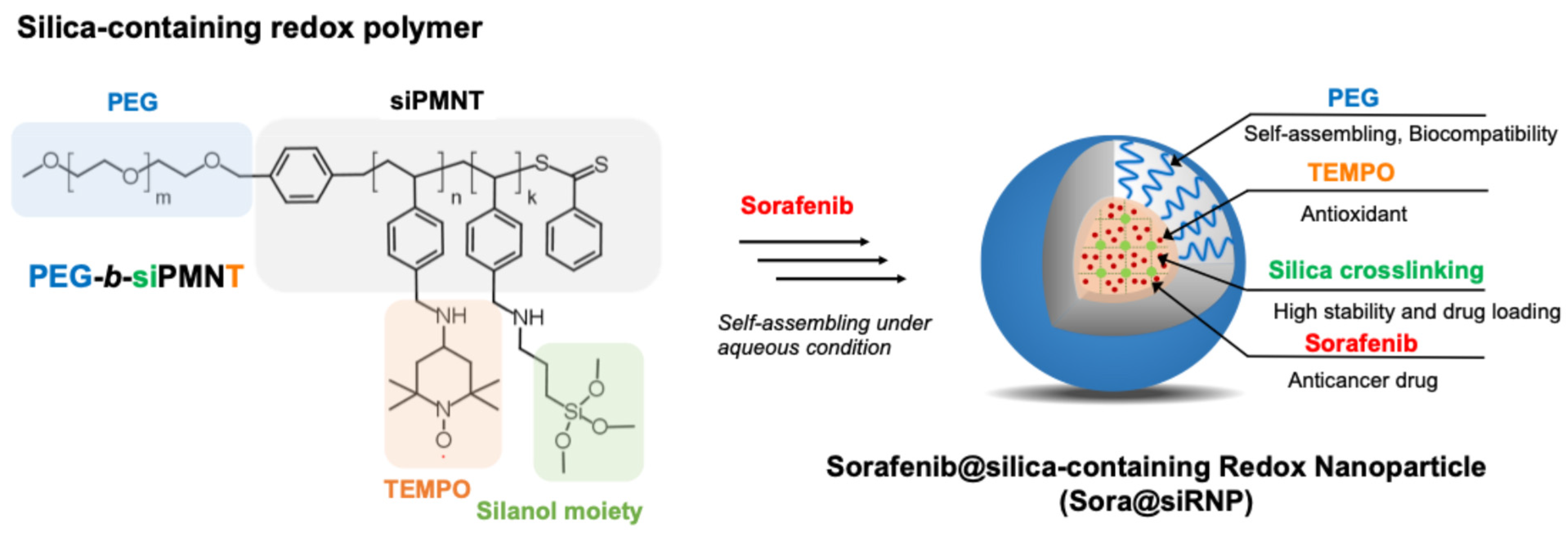 Pharmaceutics 17 00050 g001