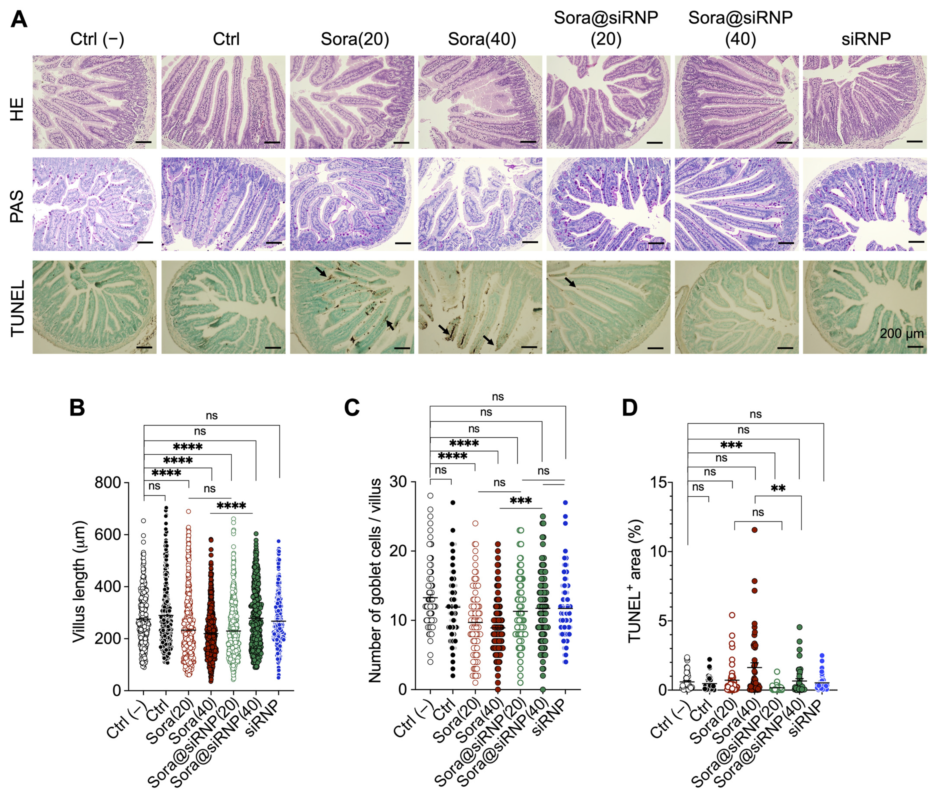 Pharmaceutics 17 00050 g004