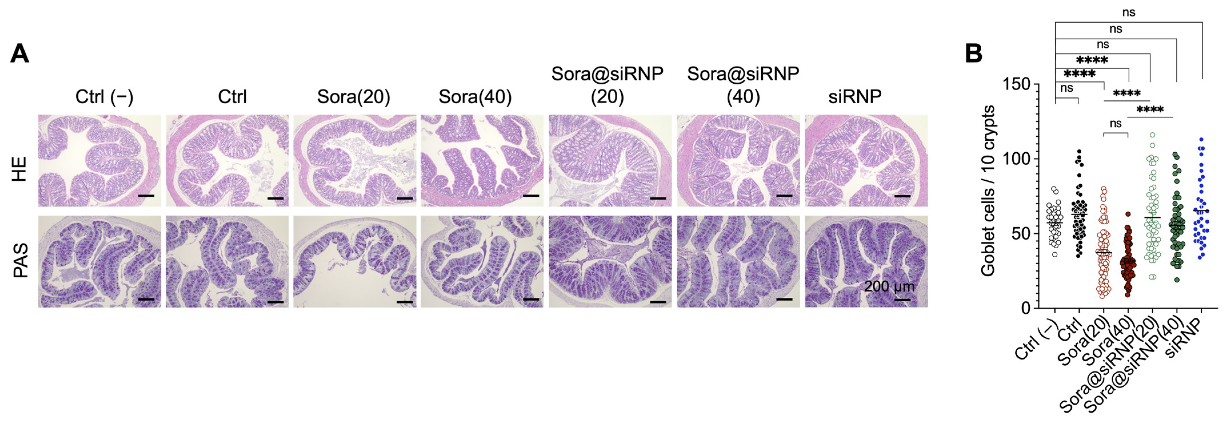 Pharmaceutics 17 00050 g005