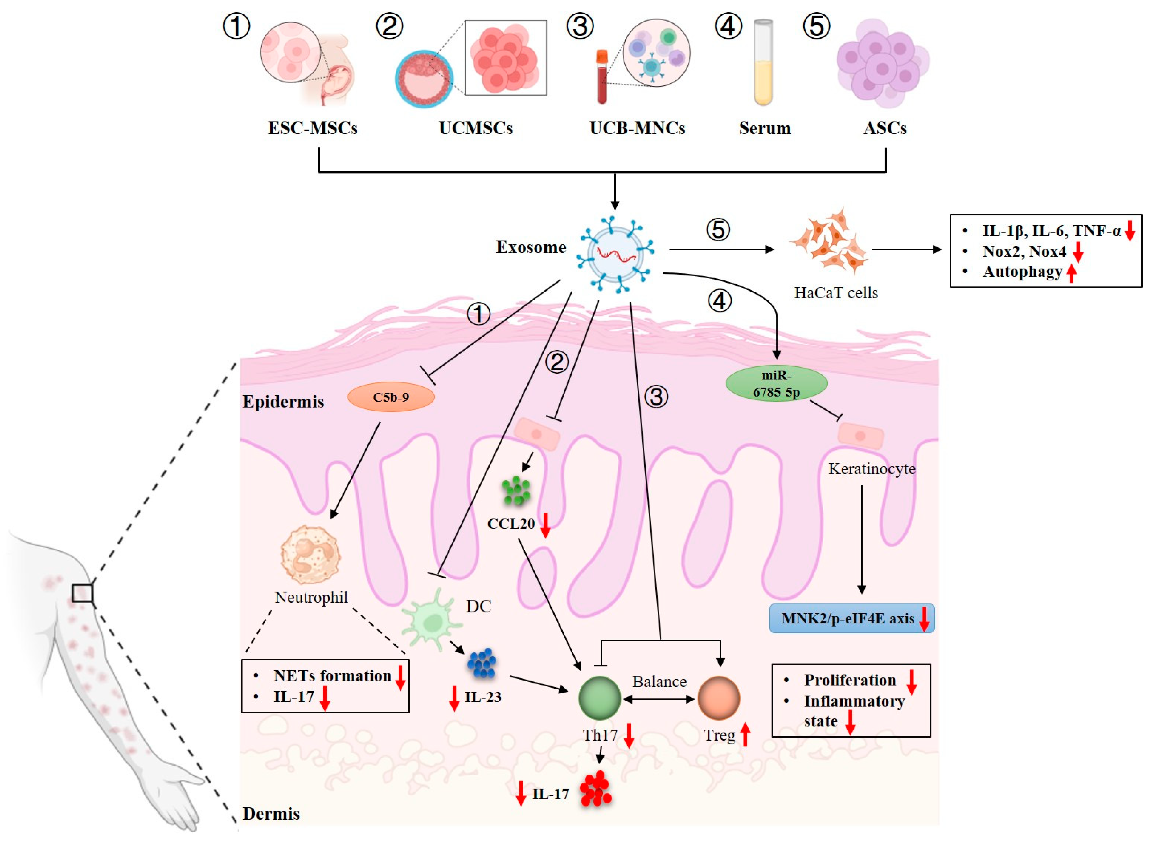 Pharmaceutics 17 00051 g002