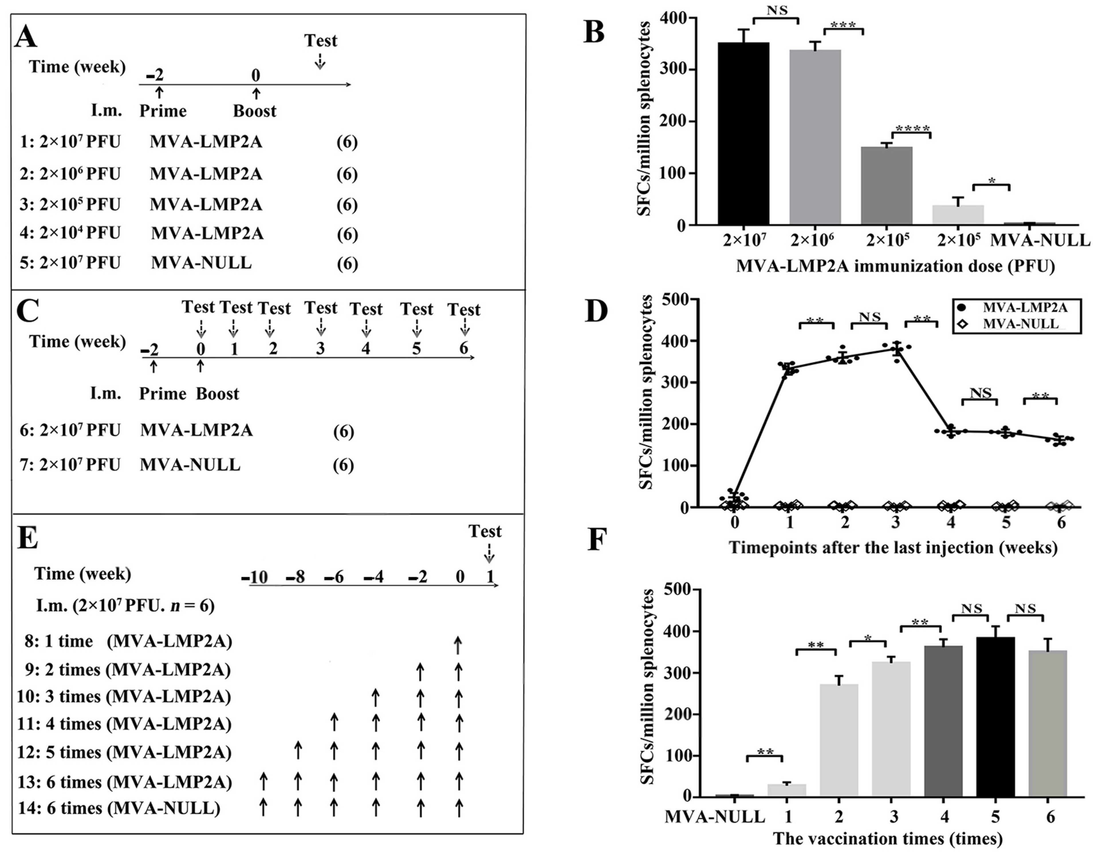 Pharmaceutics 17 00052 g004