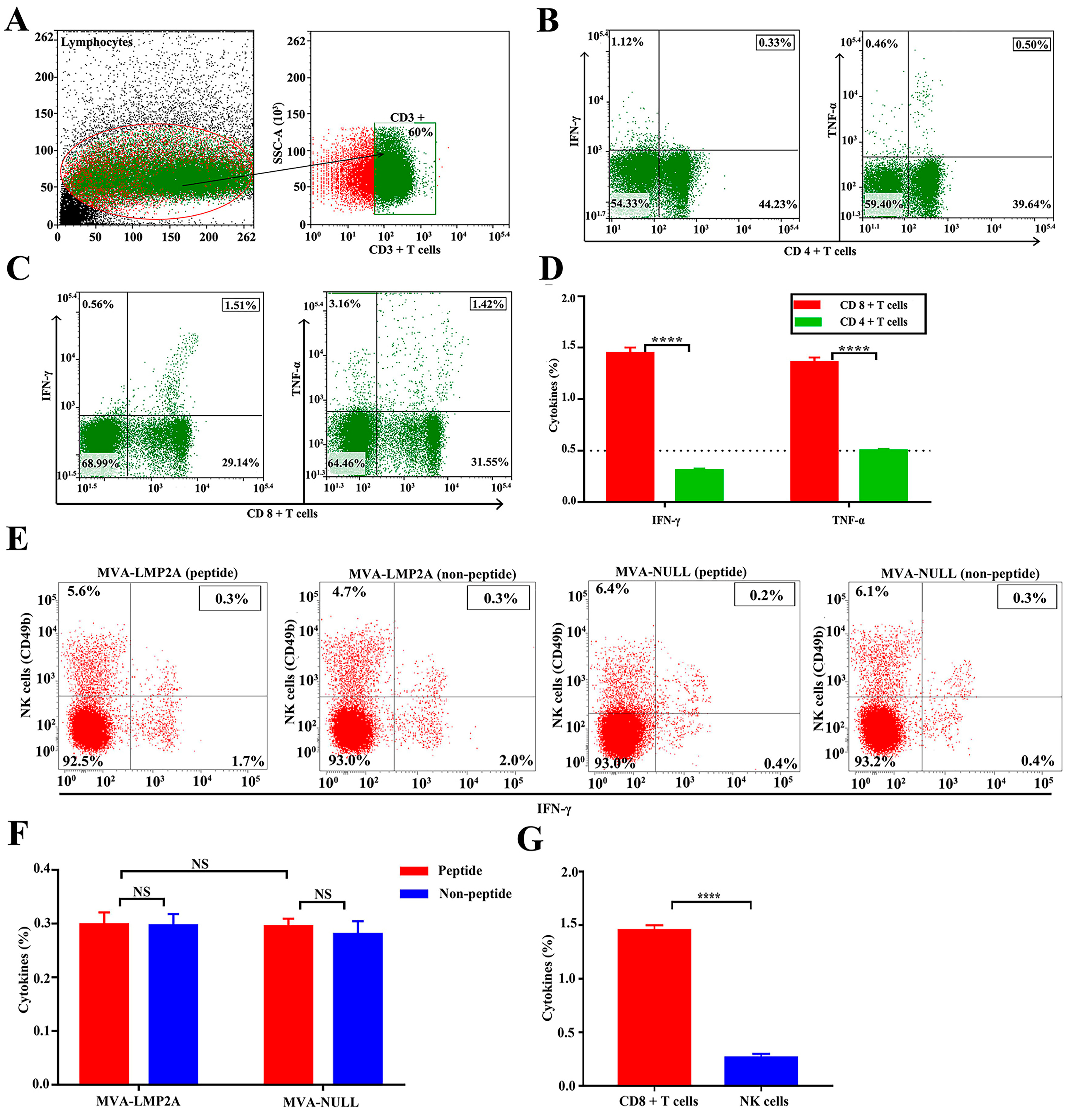 Pharmaceutics 17 00052 g005