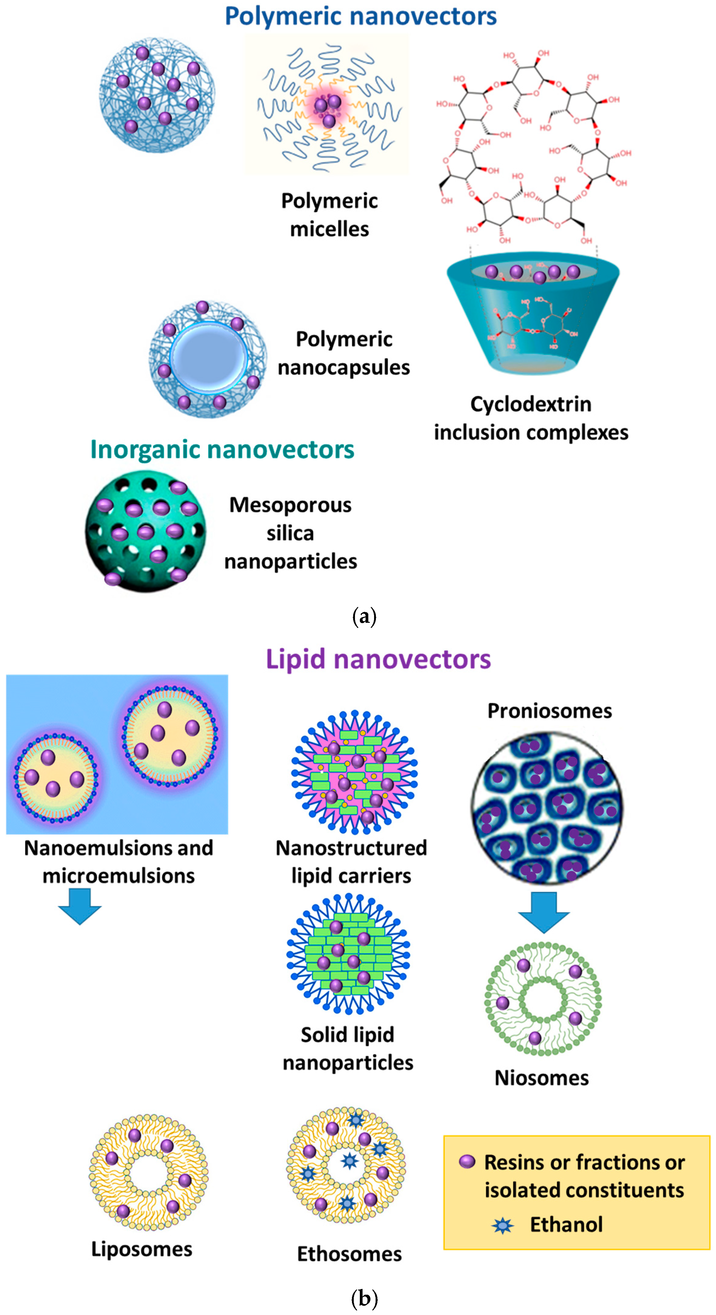 Pharmaceutics 17 00053 g001