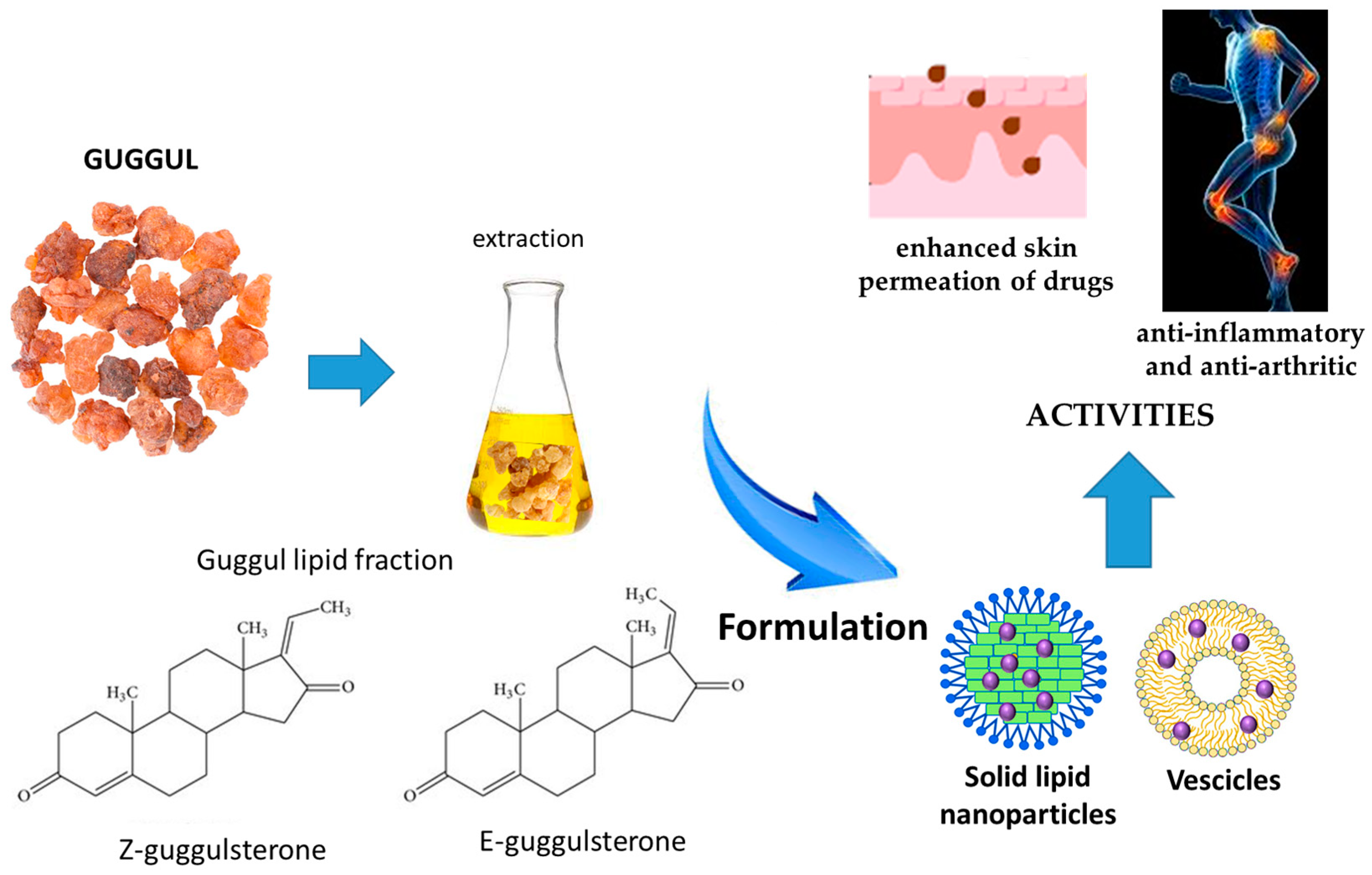 Pharmaceutics 17 00053 g004