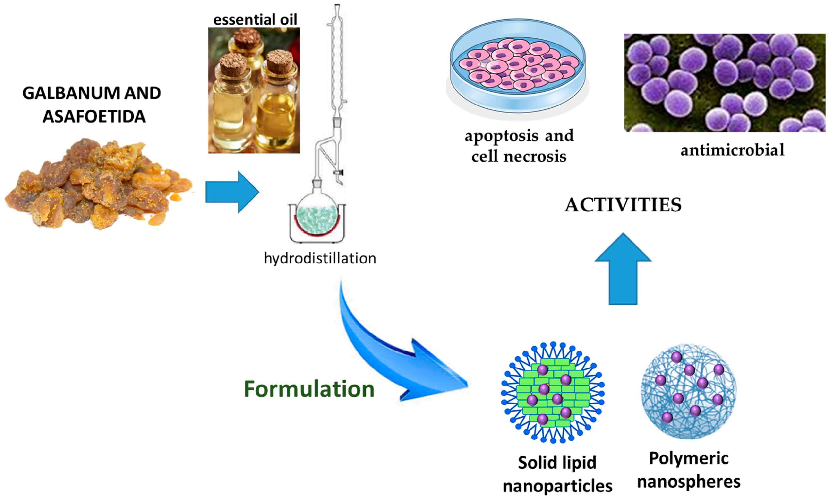 Pharmaceutics 17 00053 g007