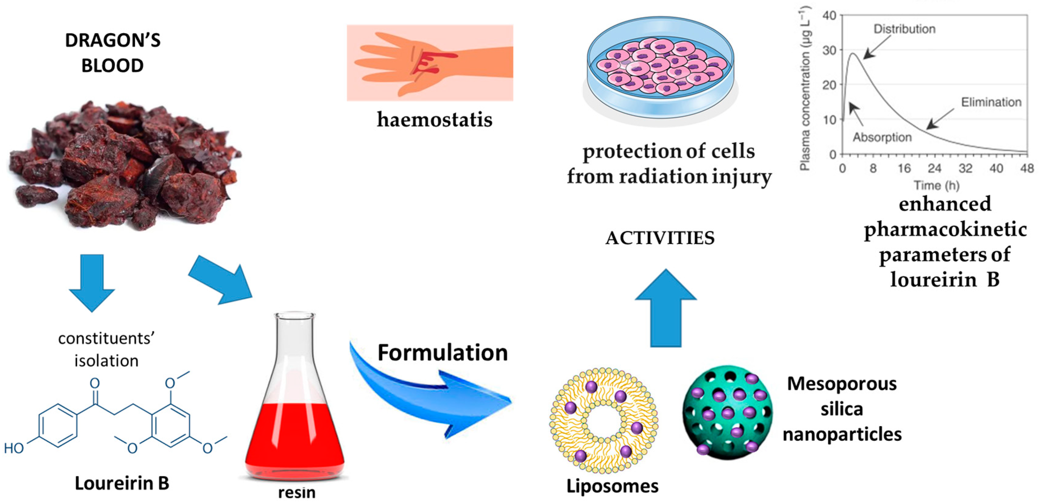 Pharmaceutics 17 00053 g008