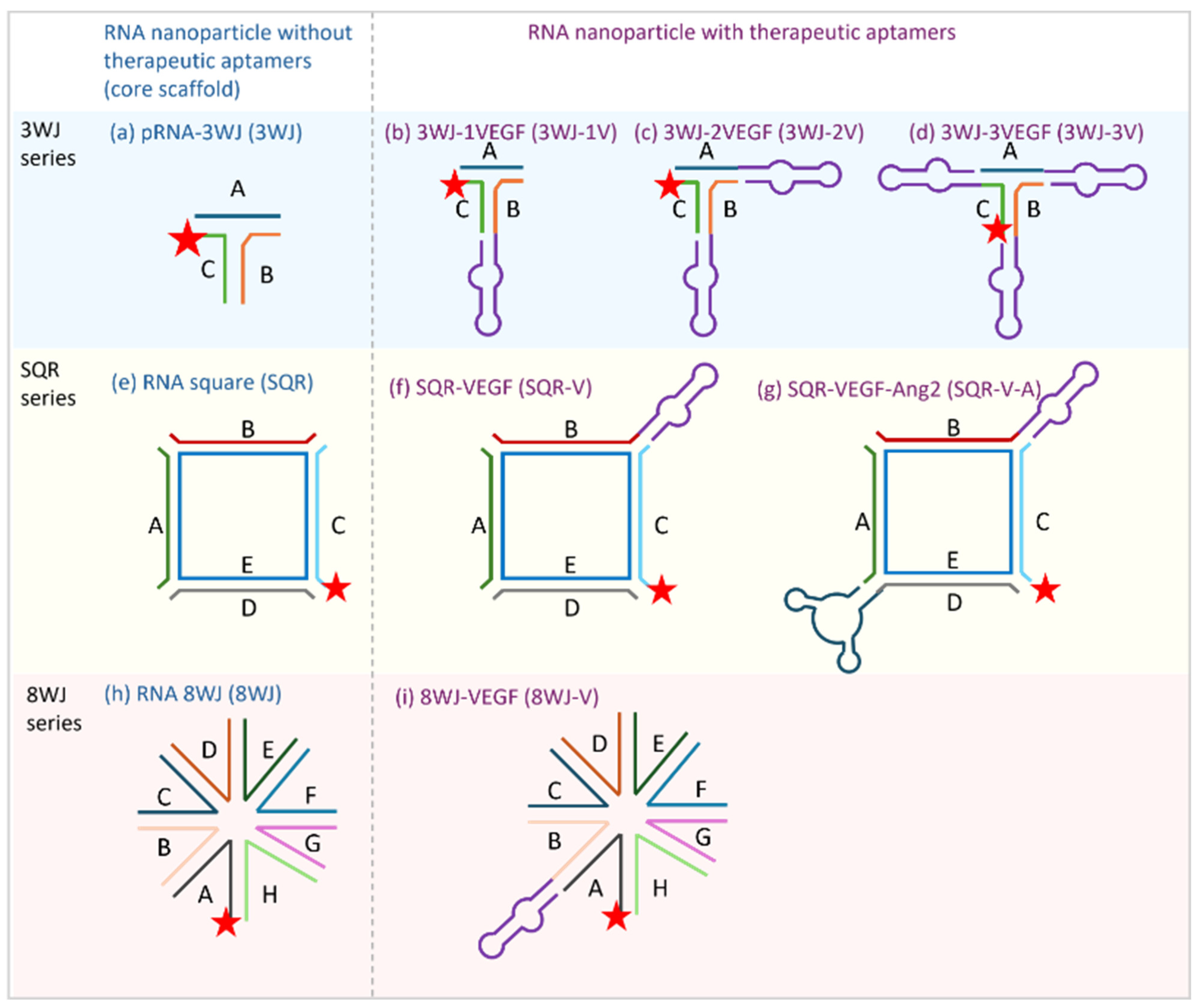 Pharmaceutics 17 00055 g001