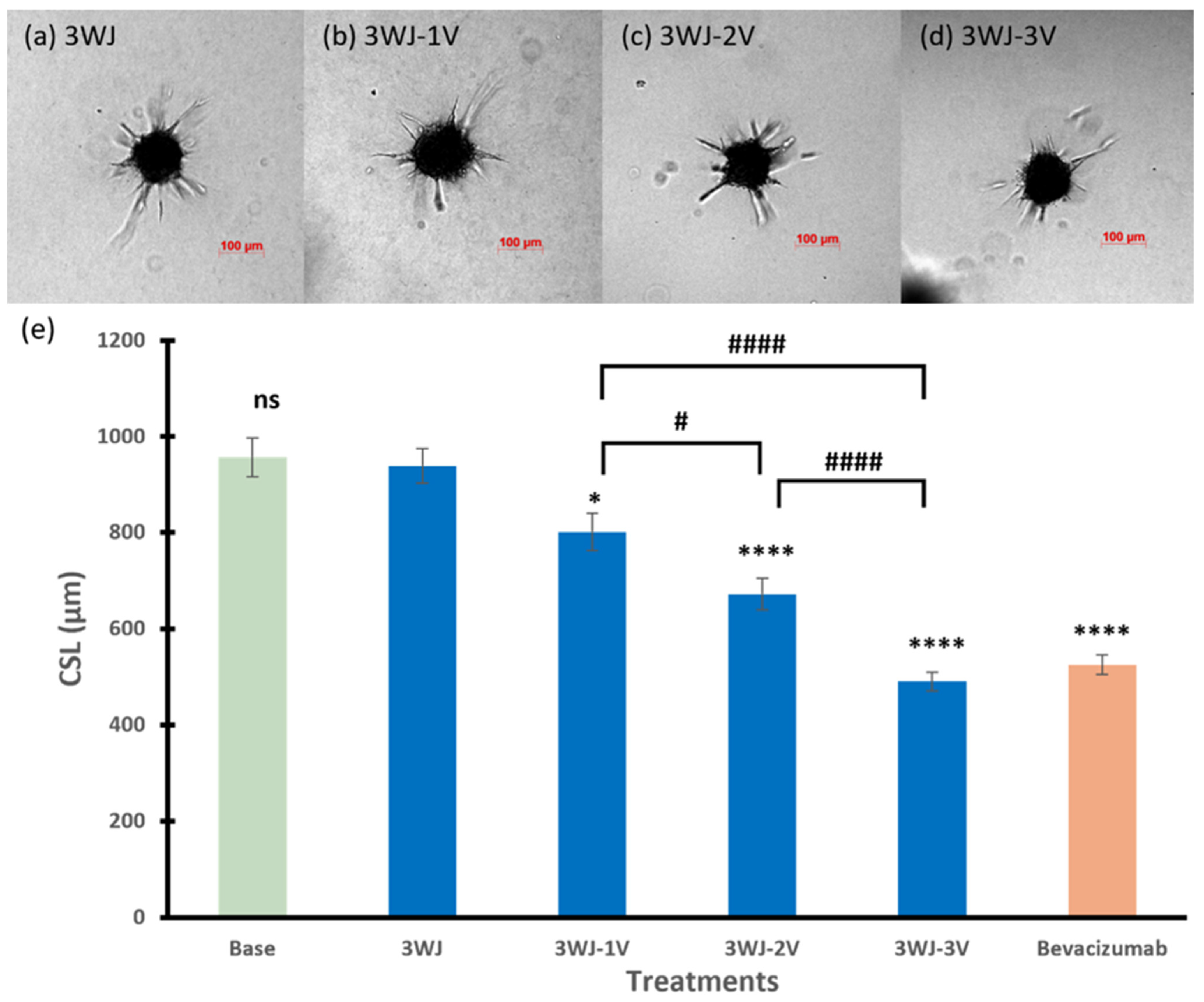 Pharmaceutics 17 00055 g003